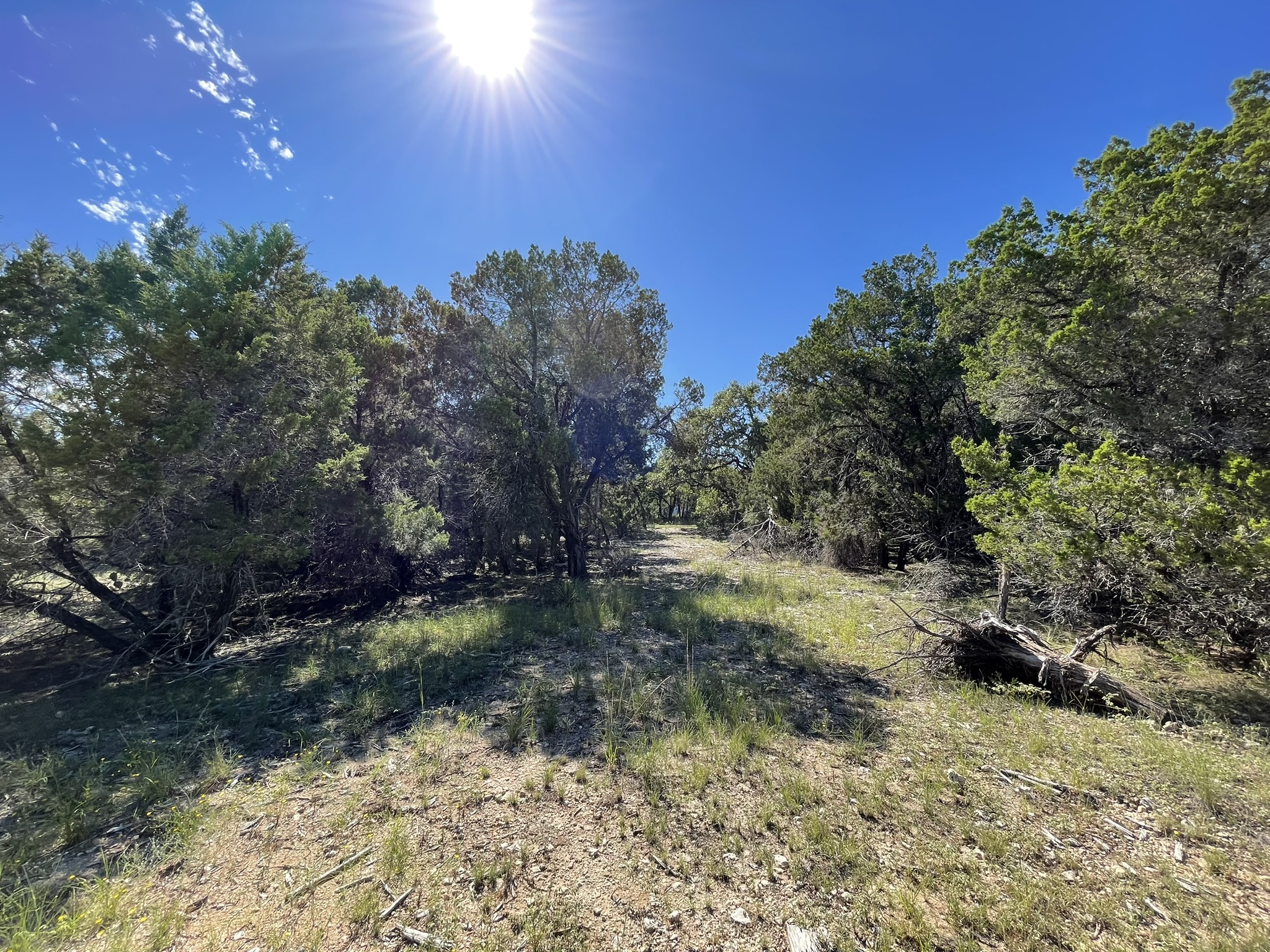 main property photo 11