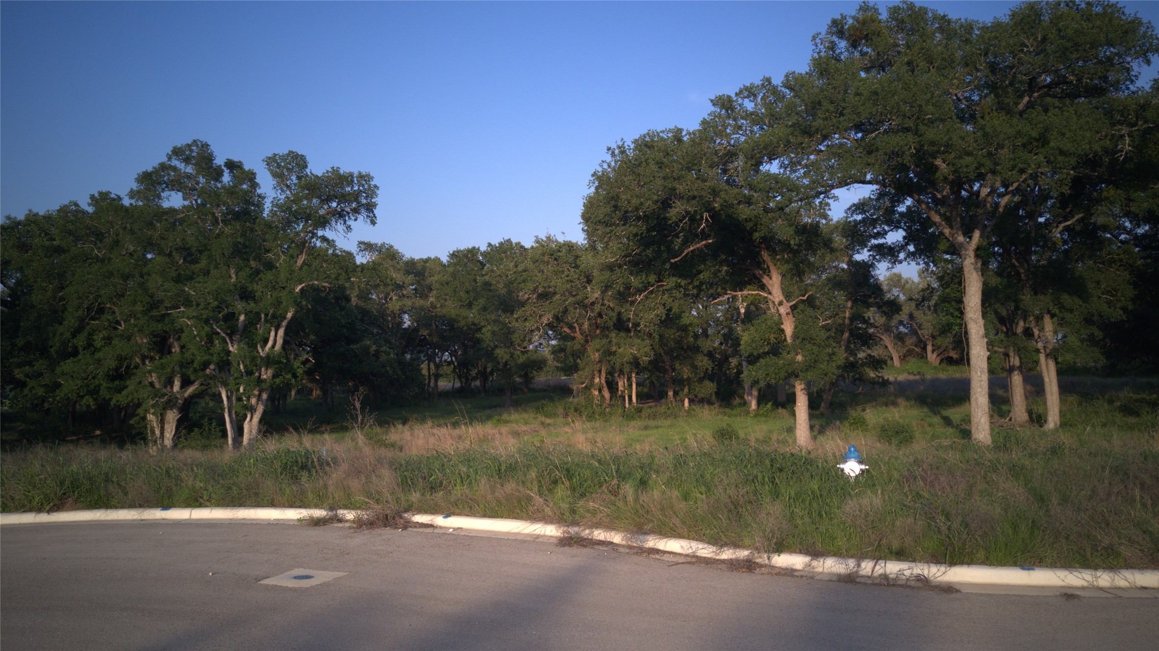 main property photo 15
