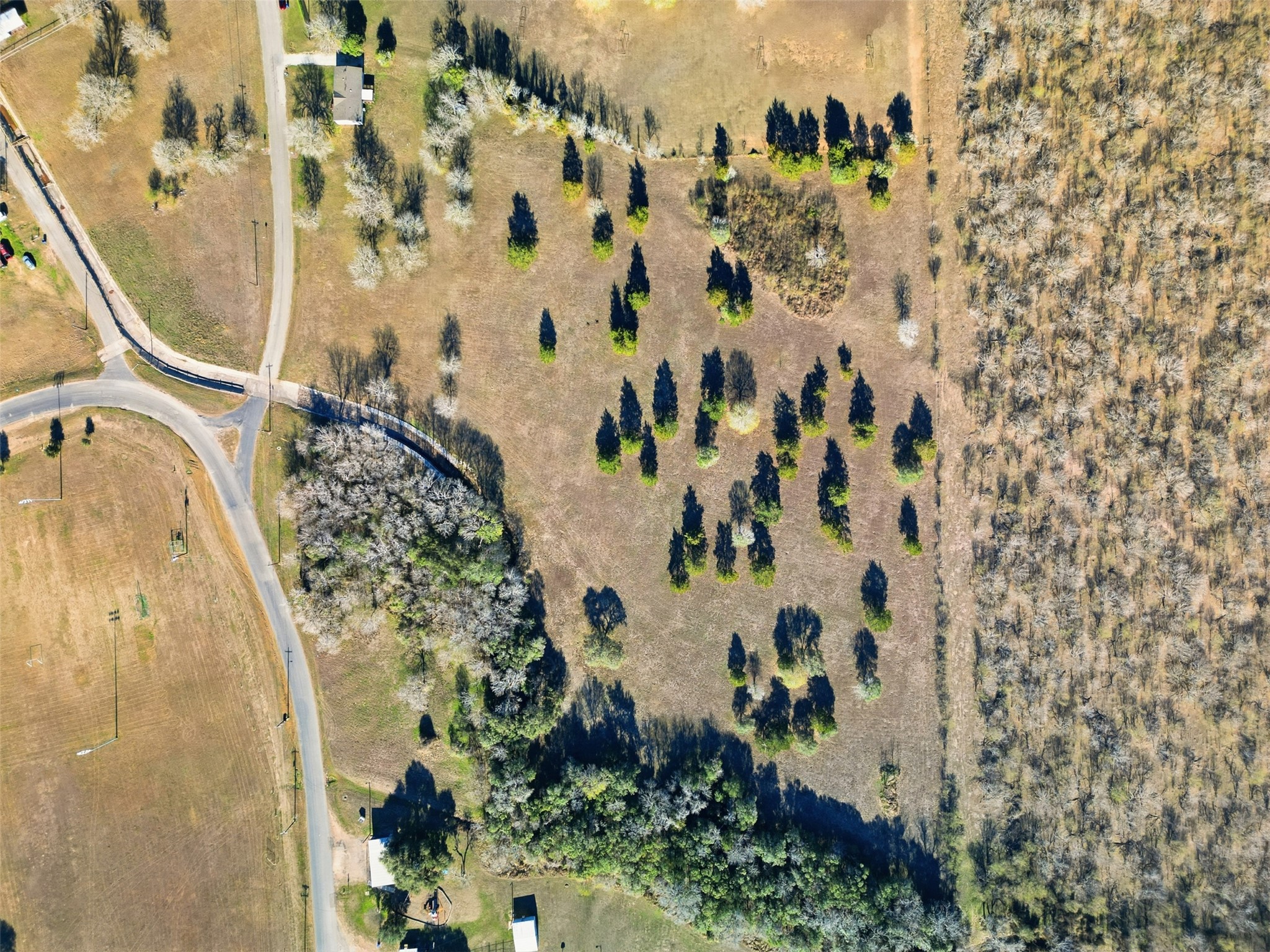 main property photo 15