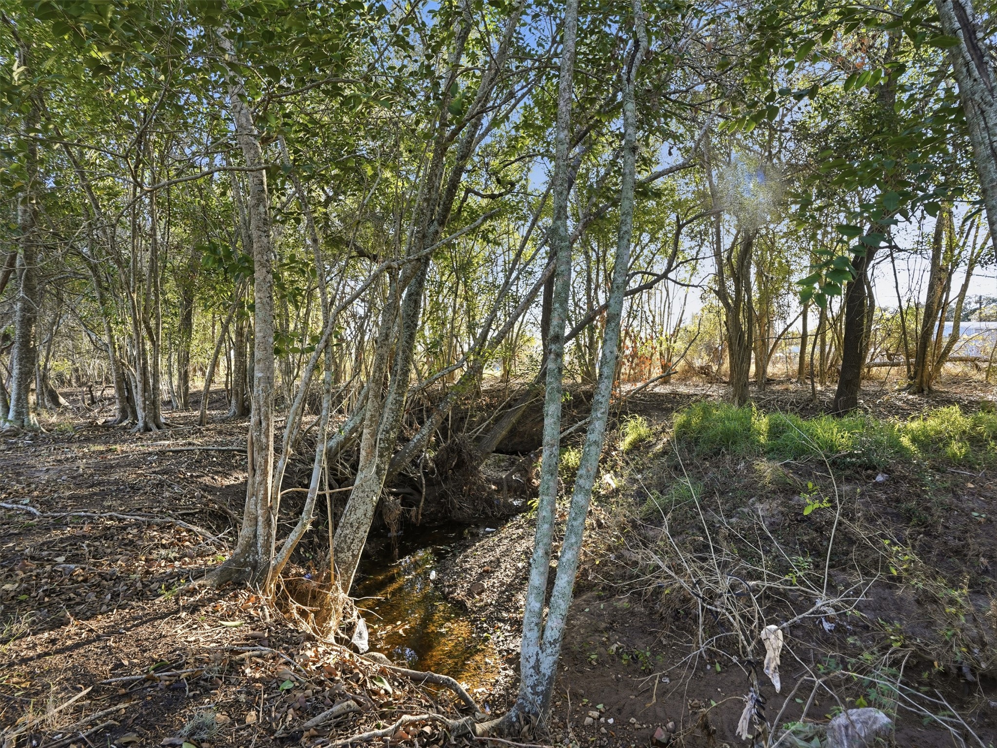 main property photo 27