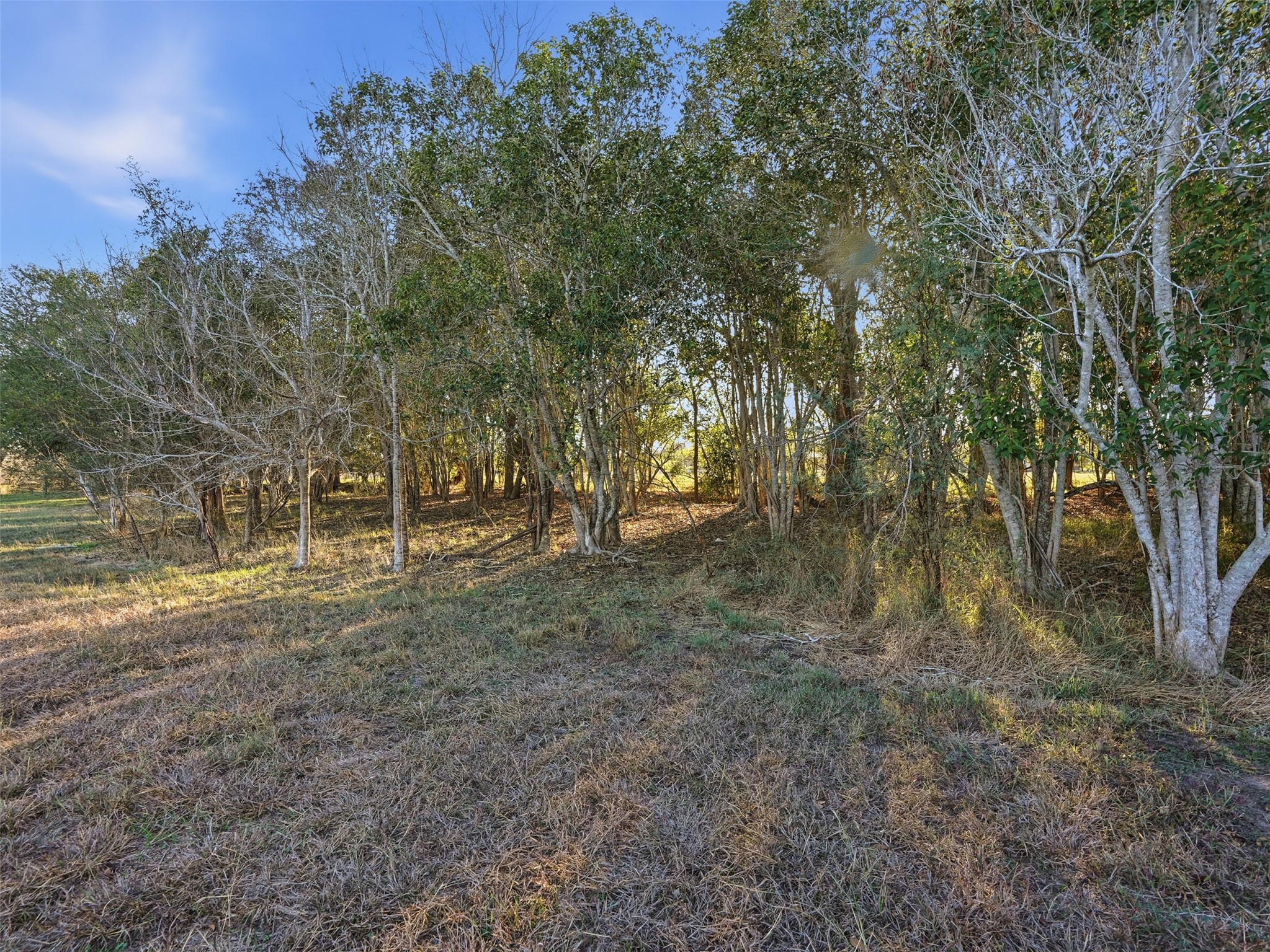 main property photo 28