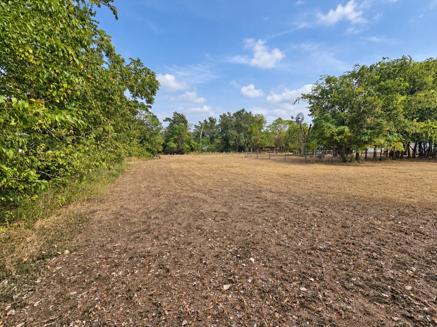 main property photo 14