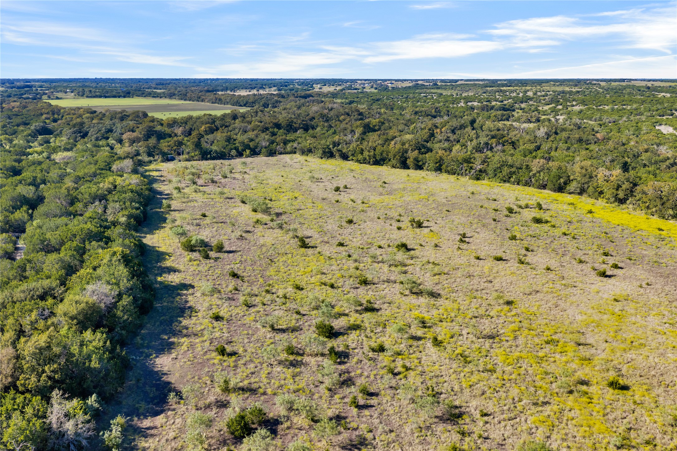 main property photo 11