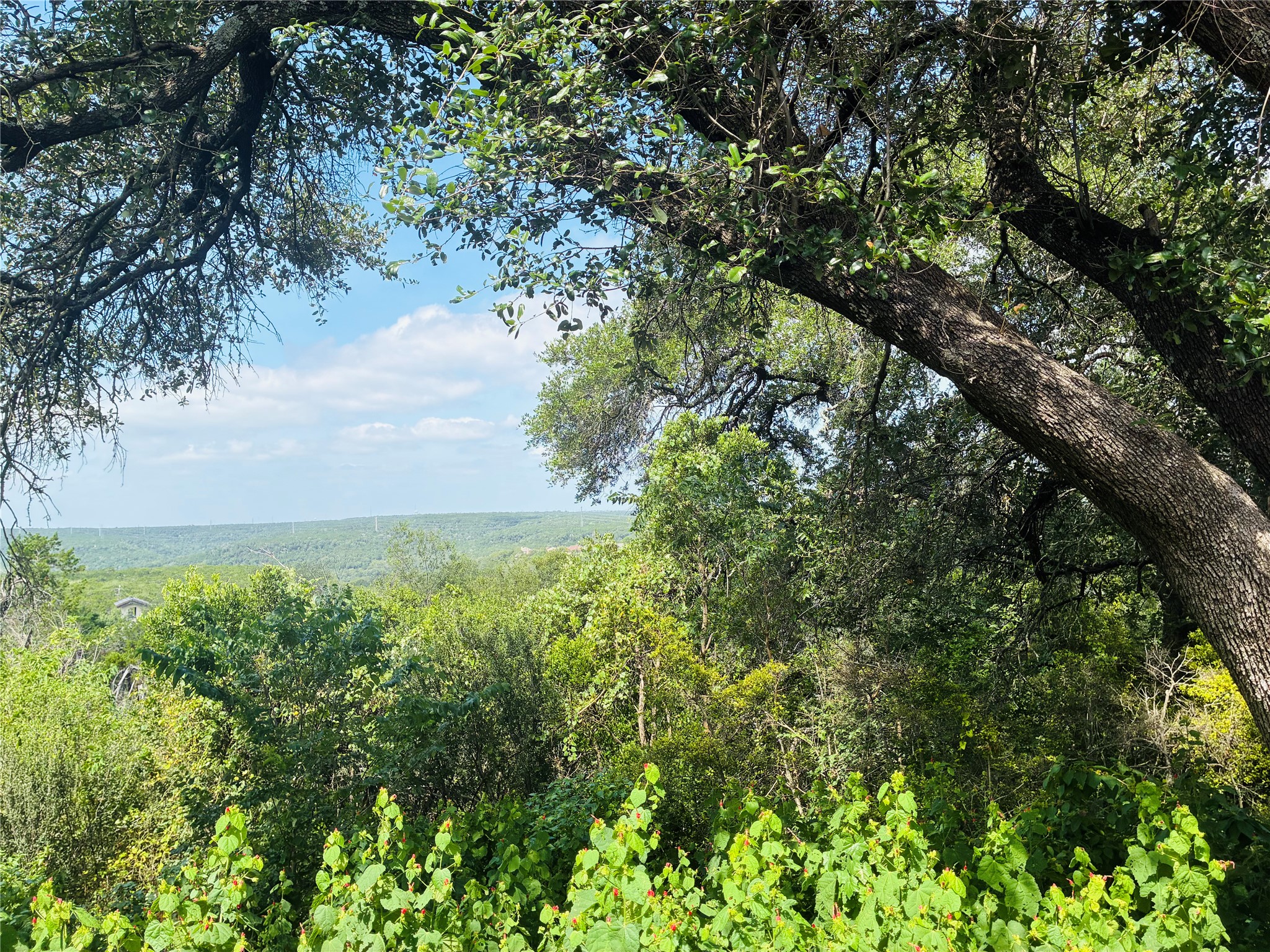 main property photo 16