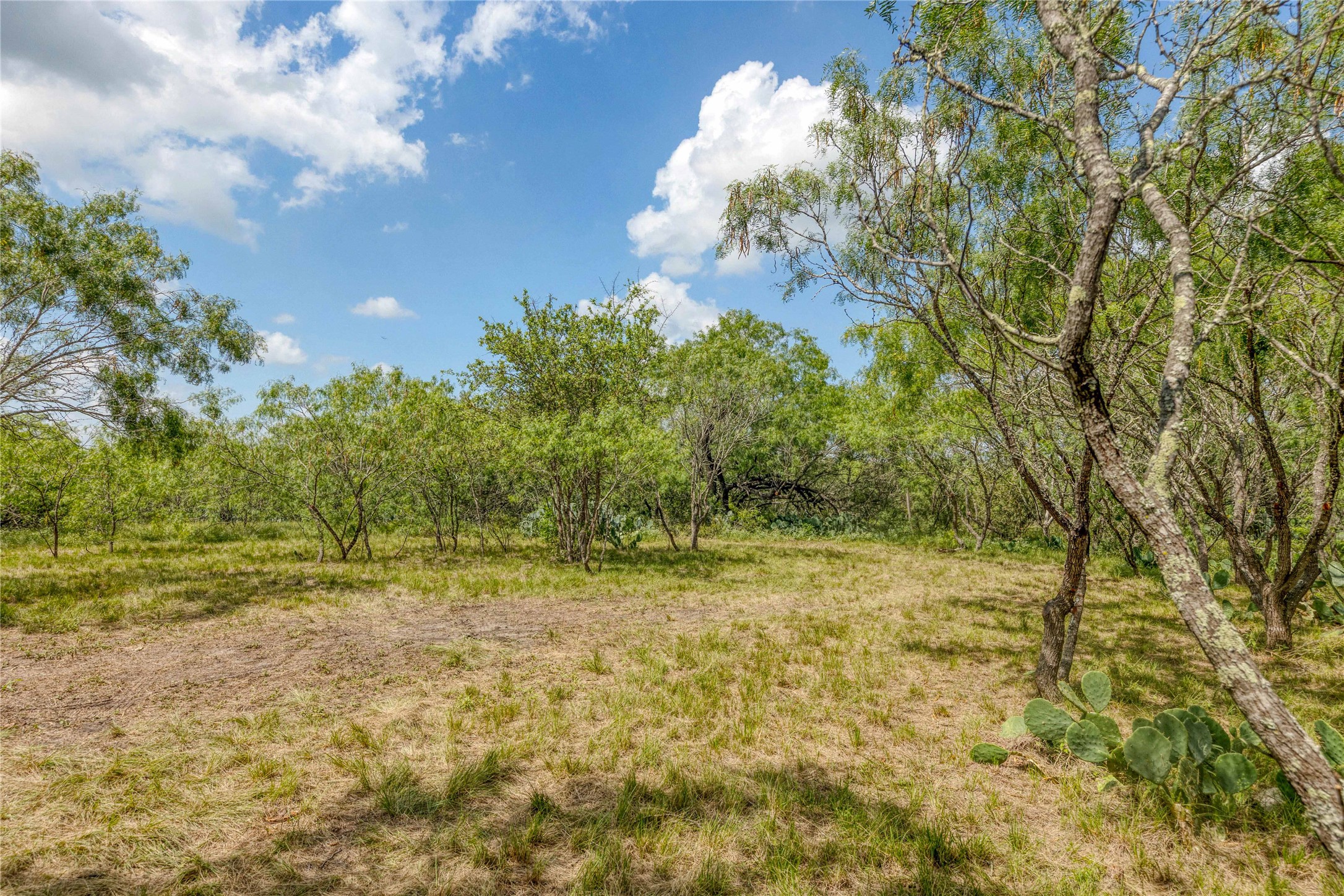 main property photo 11