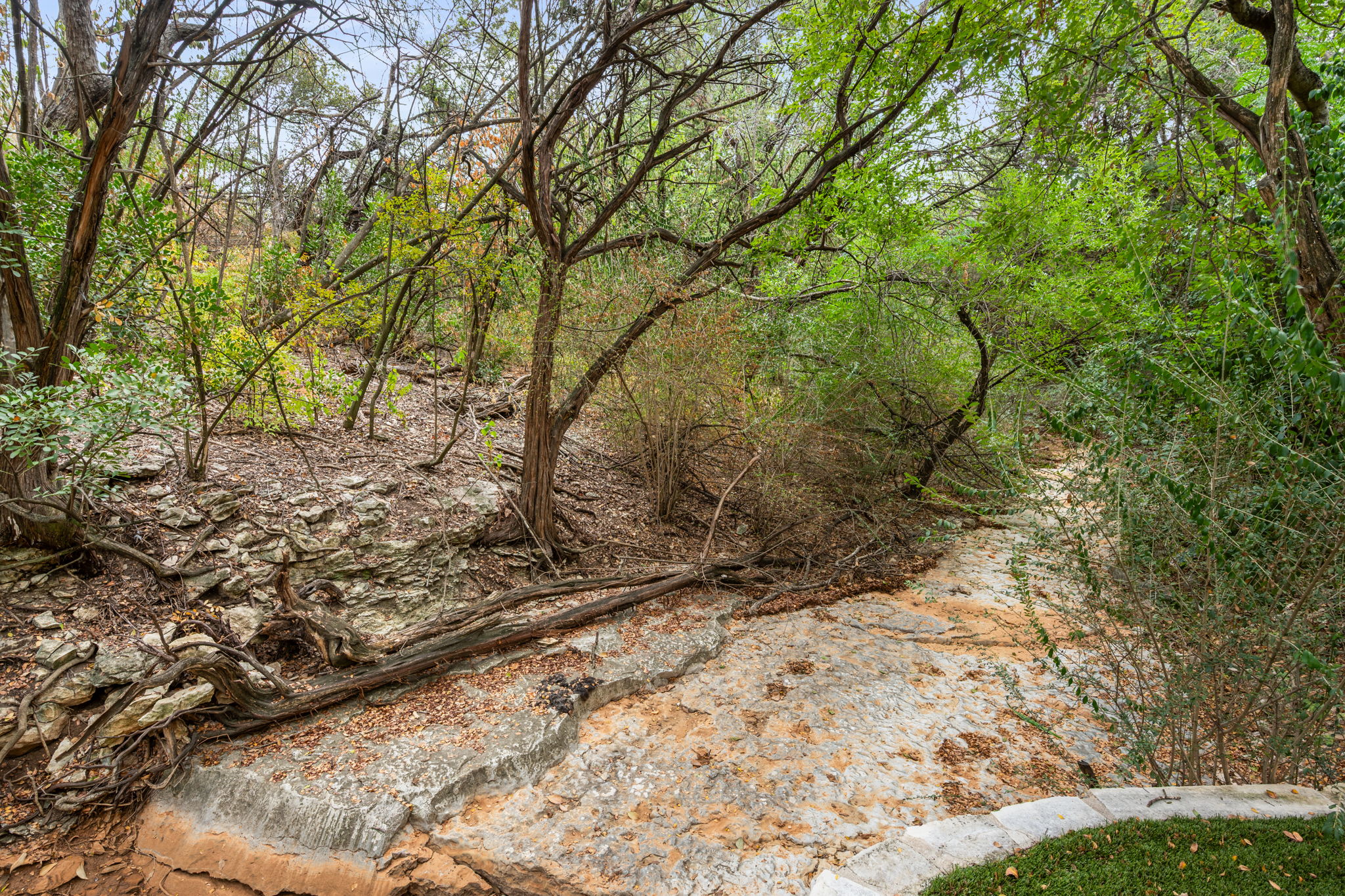 main property photo 33