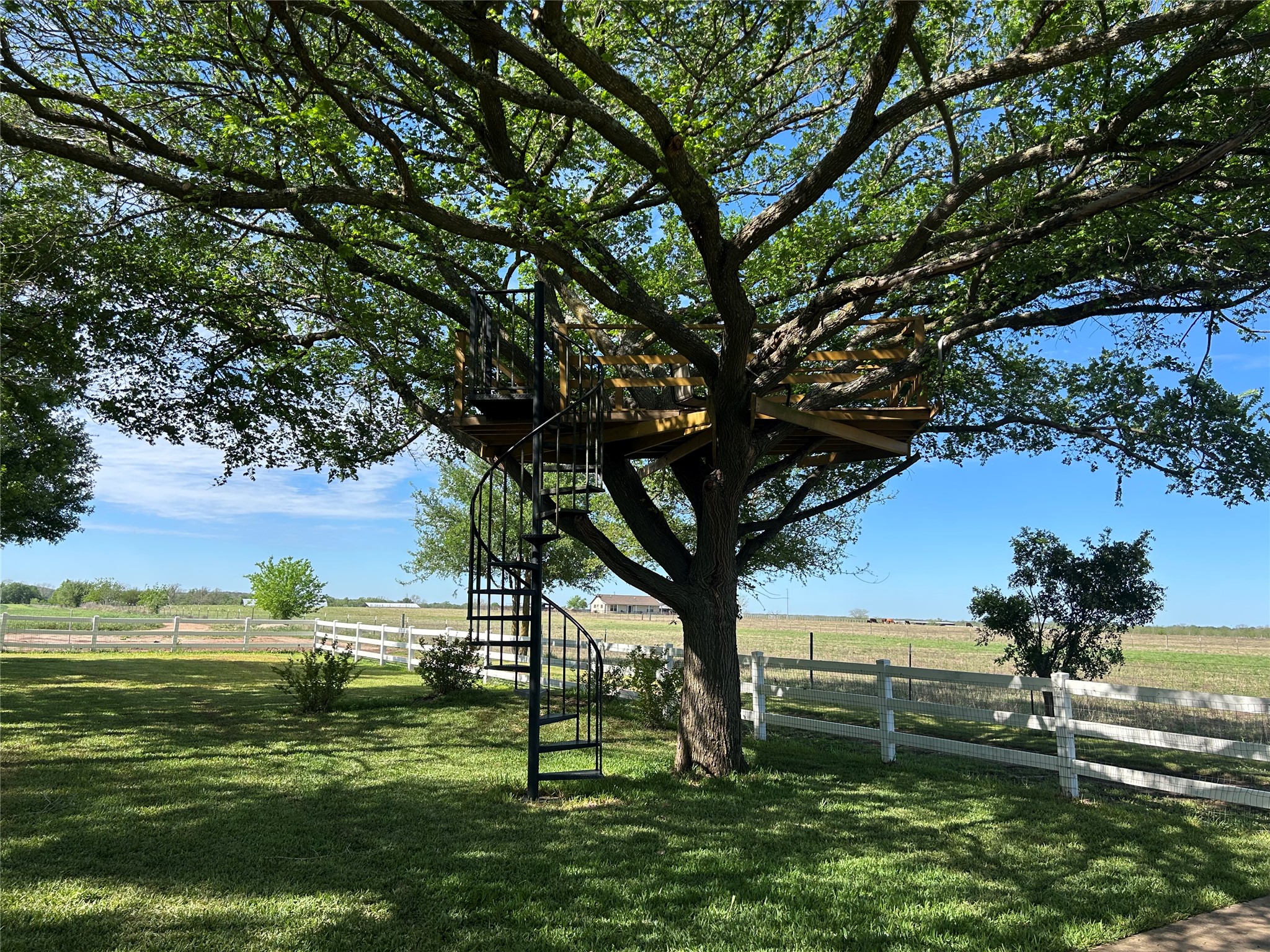 main property photo 35