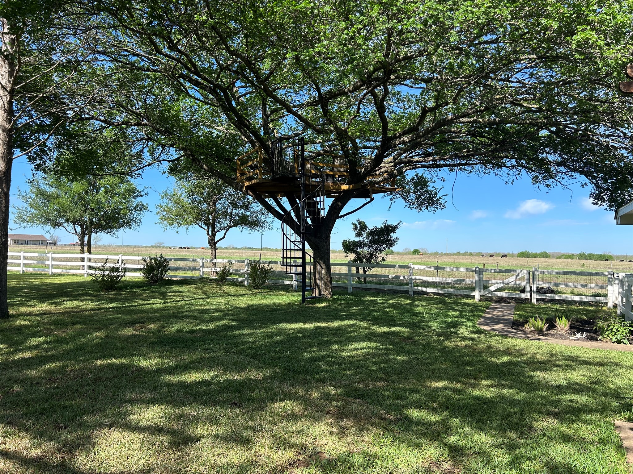 main property photo 37