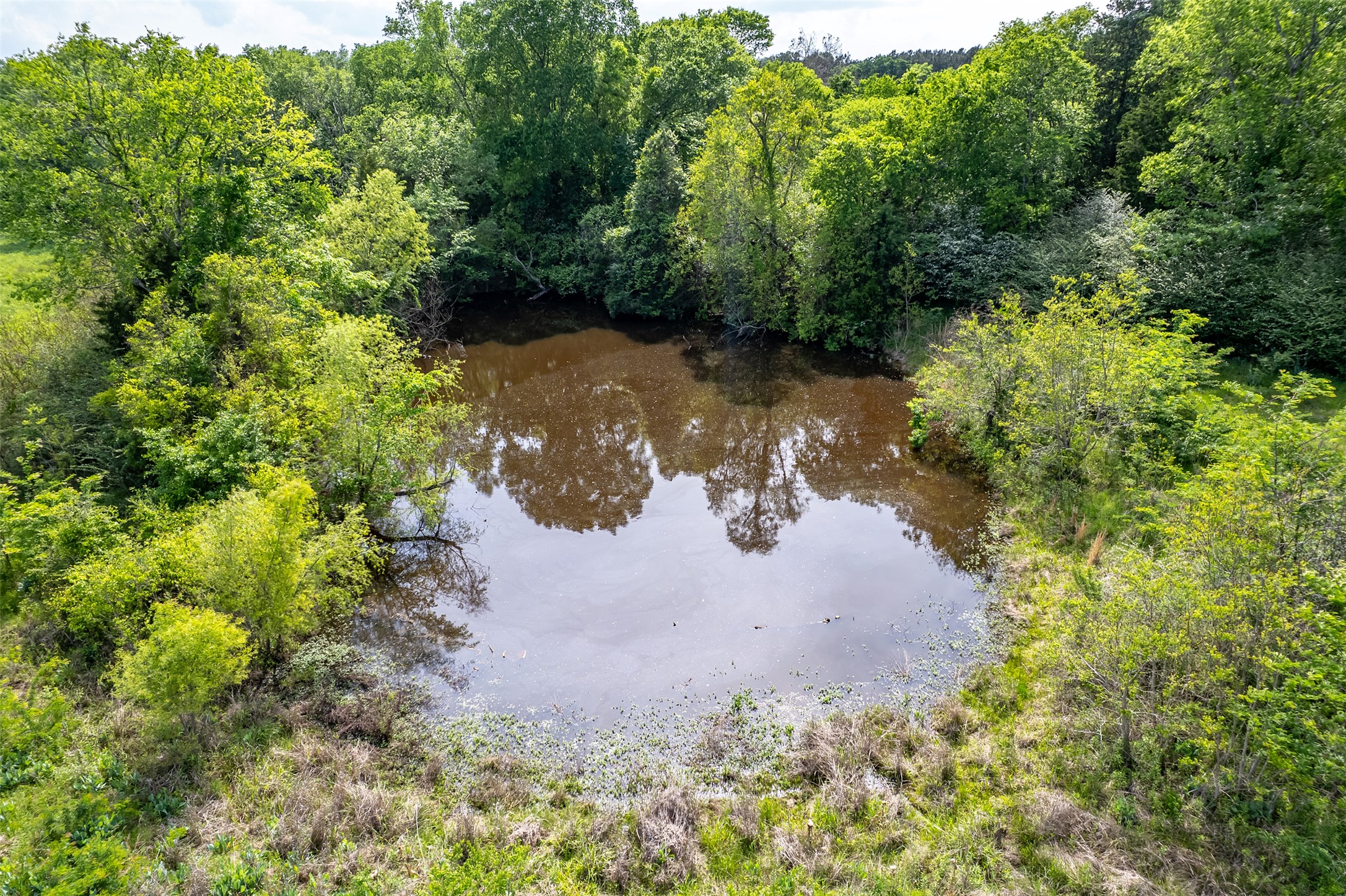 main property photo 11