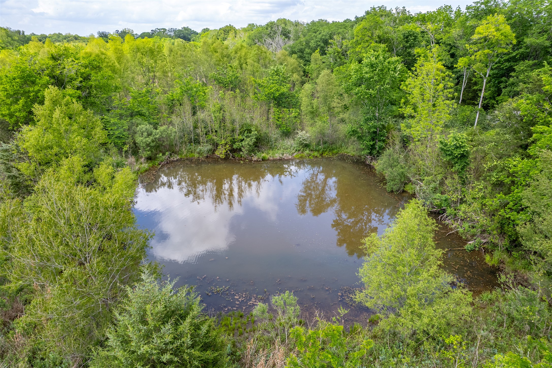 main property photo 36
