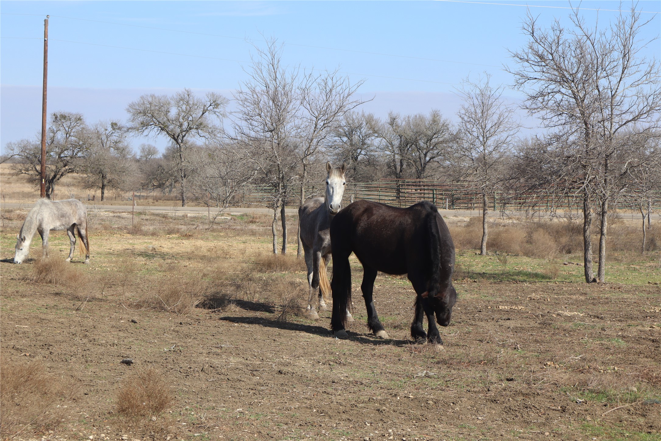 main property photo 14