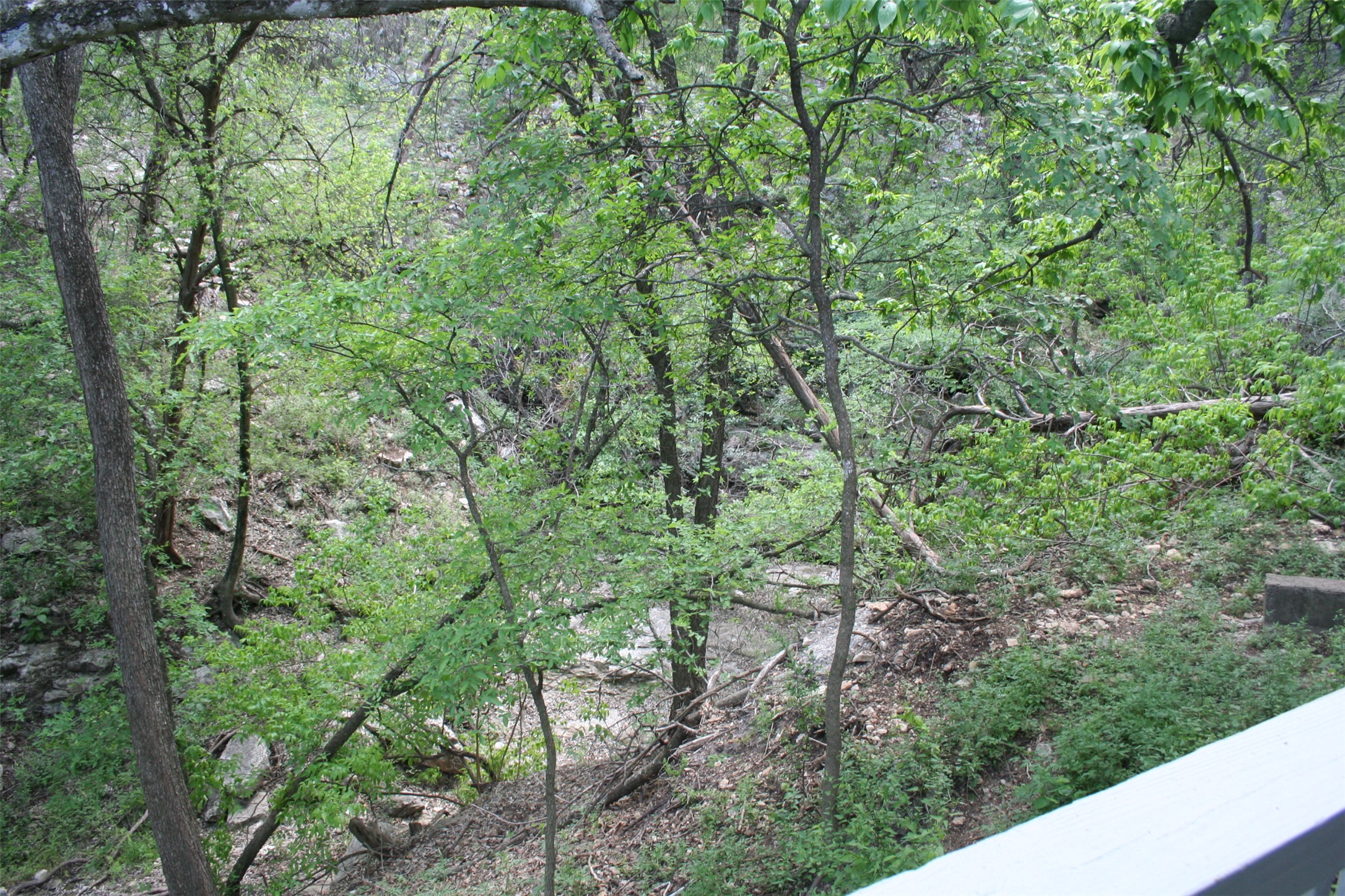 main property photo 18