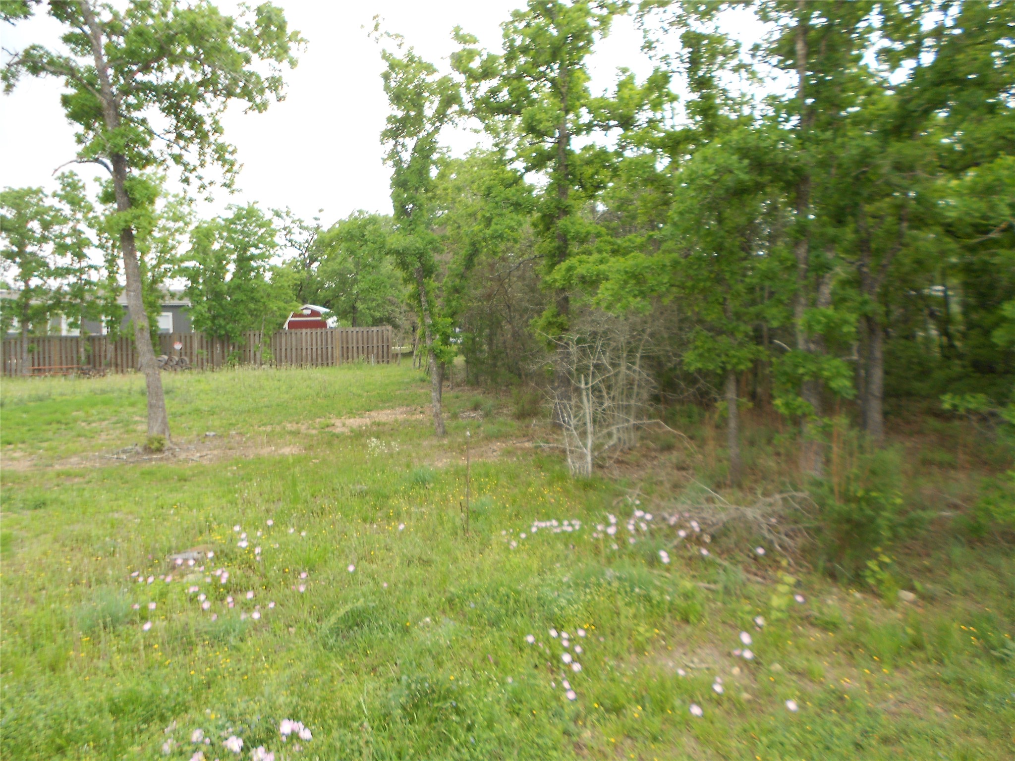 main property photo 11