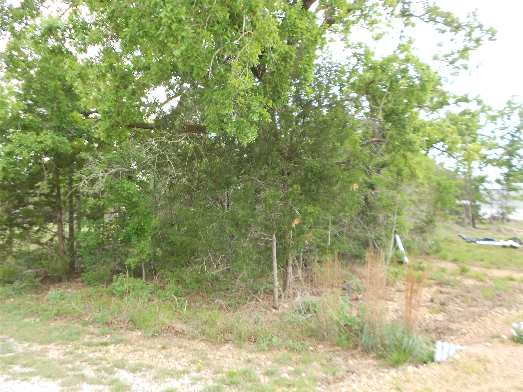 main property photo 16