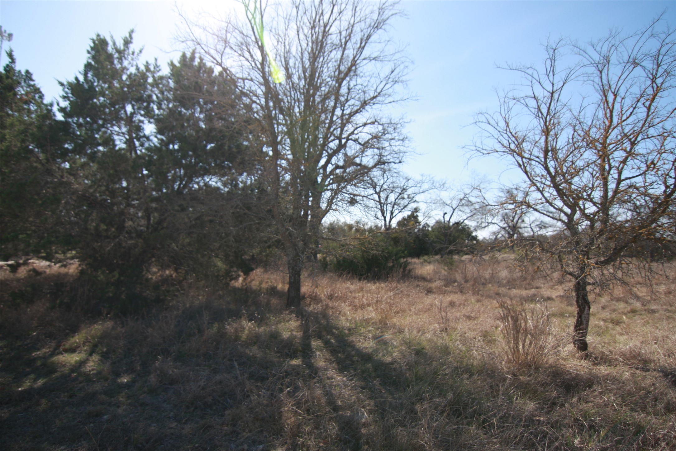 main property photo 17