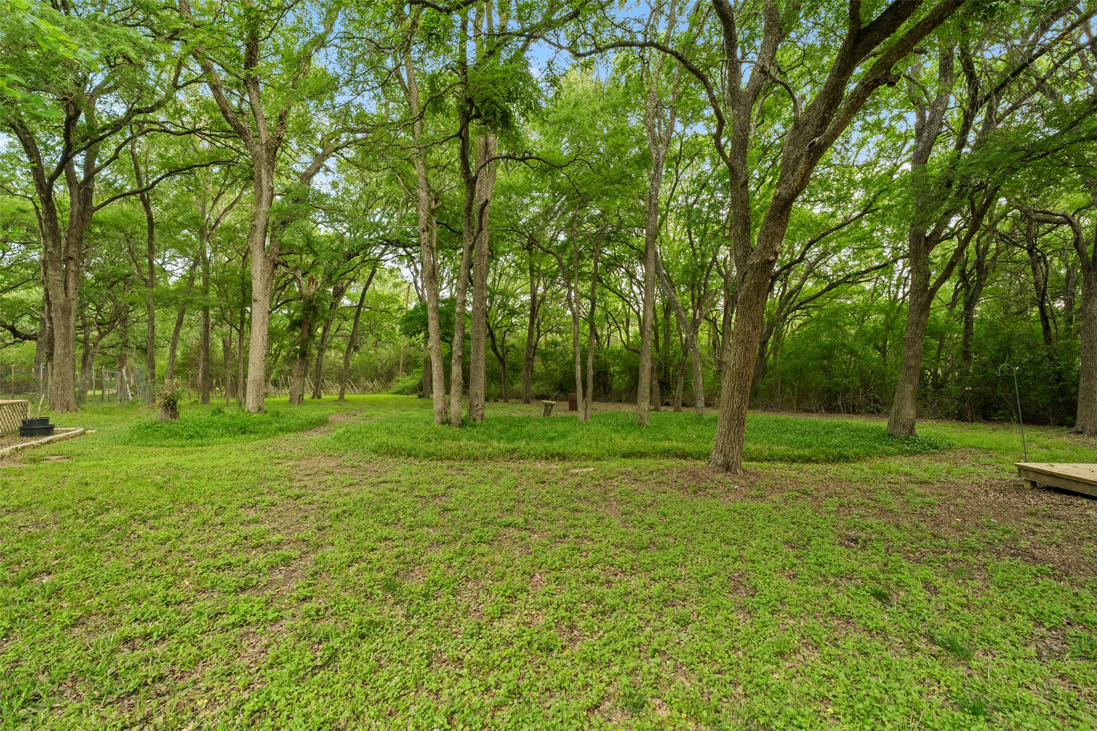 main property photo 31