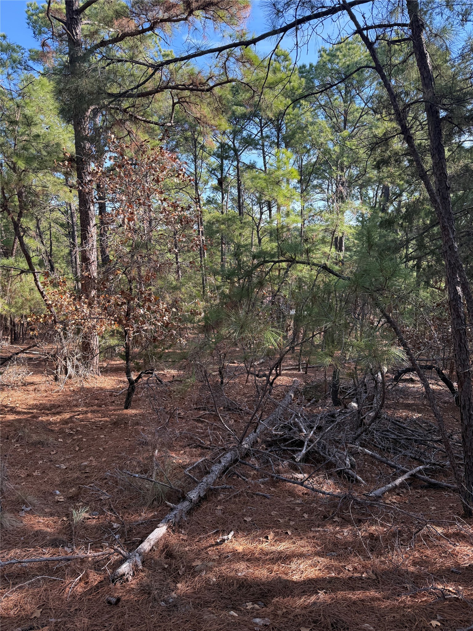 main property photo 4