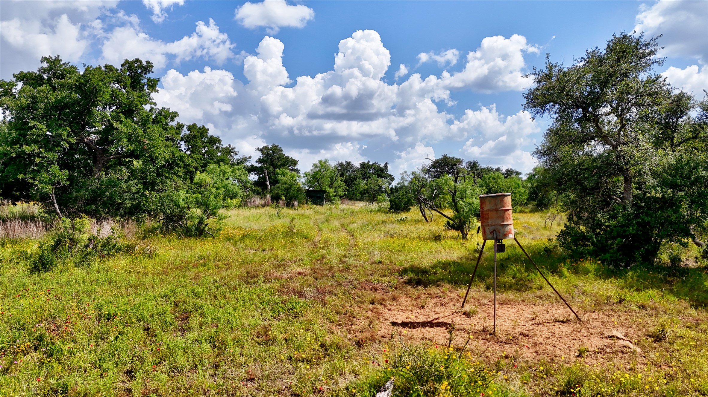 main property photo 9