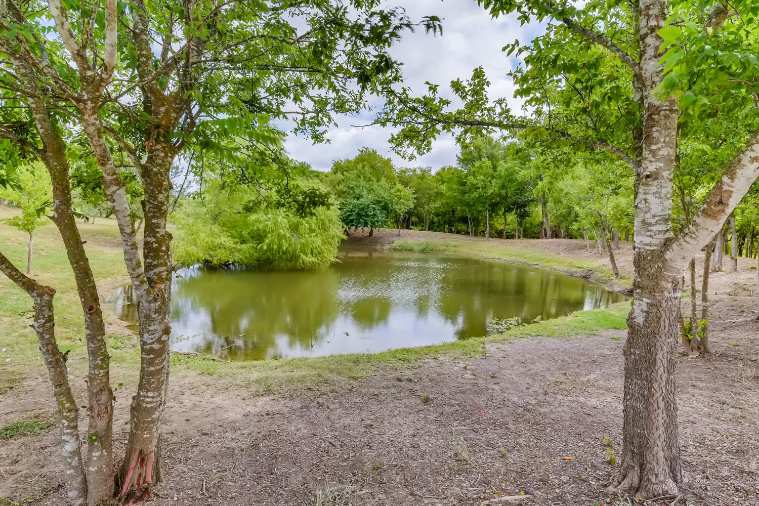 main property photo 39