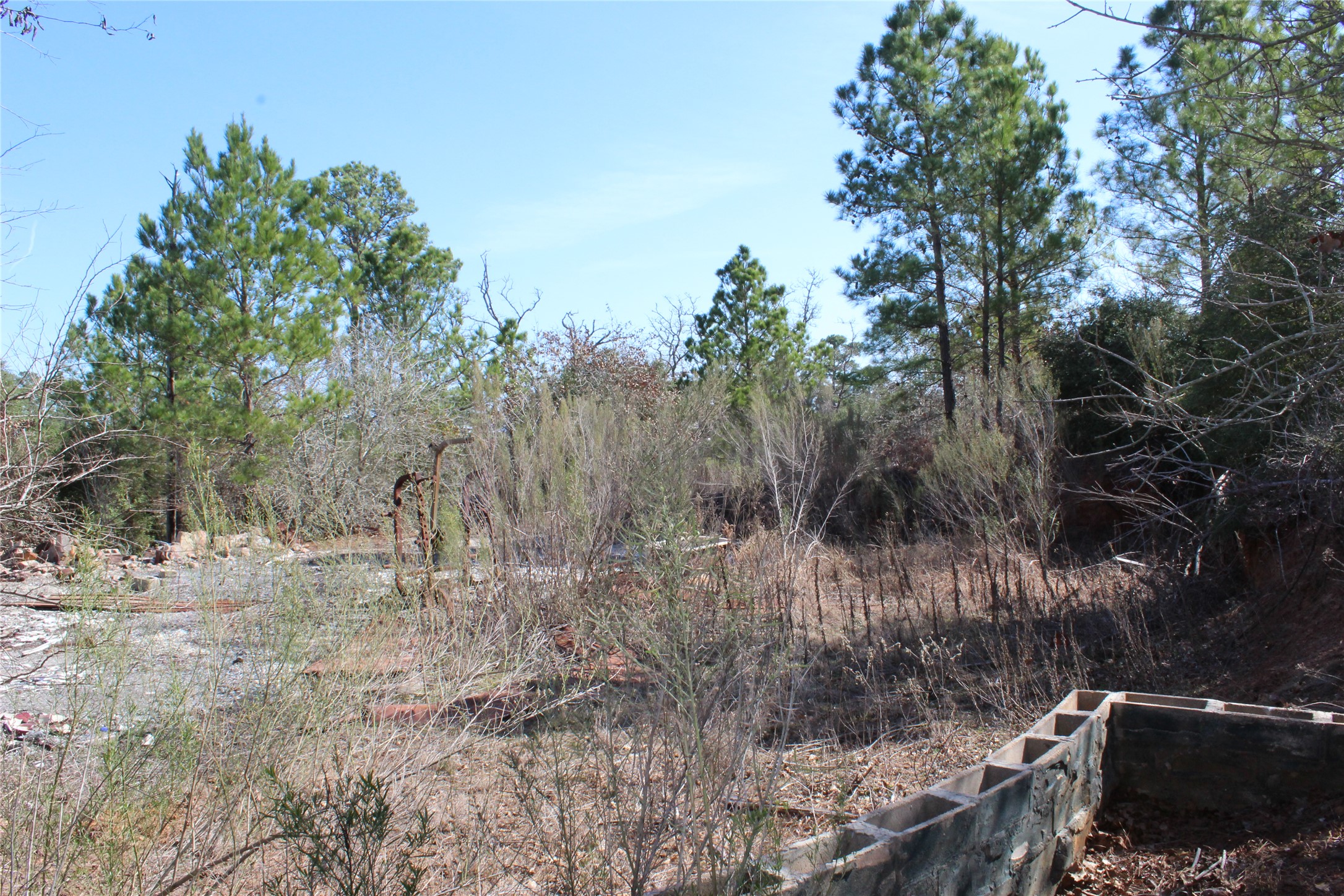 main property photo 13