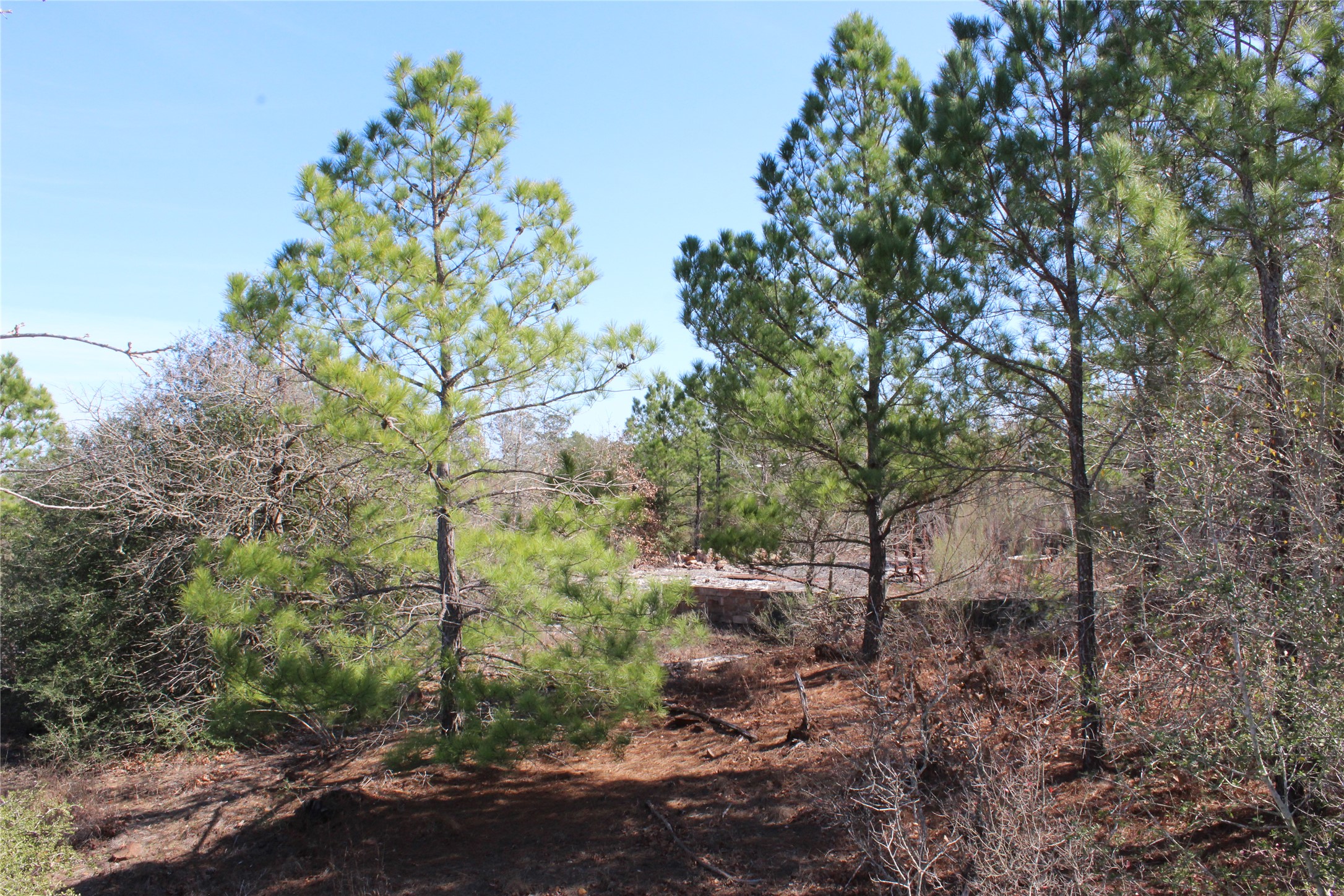 main property photo 14