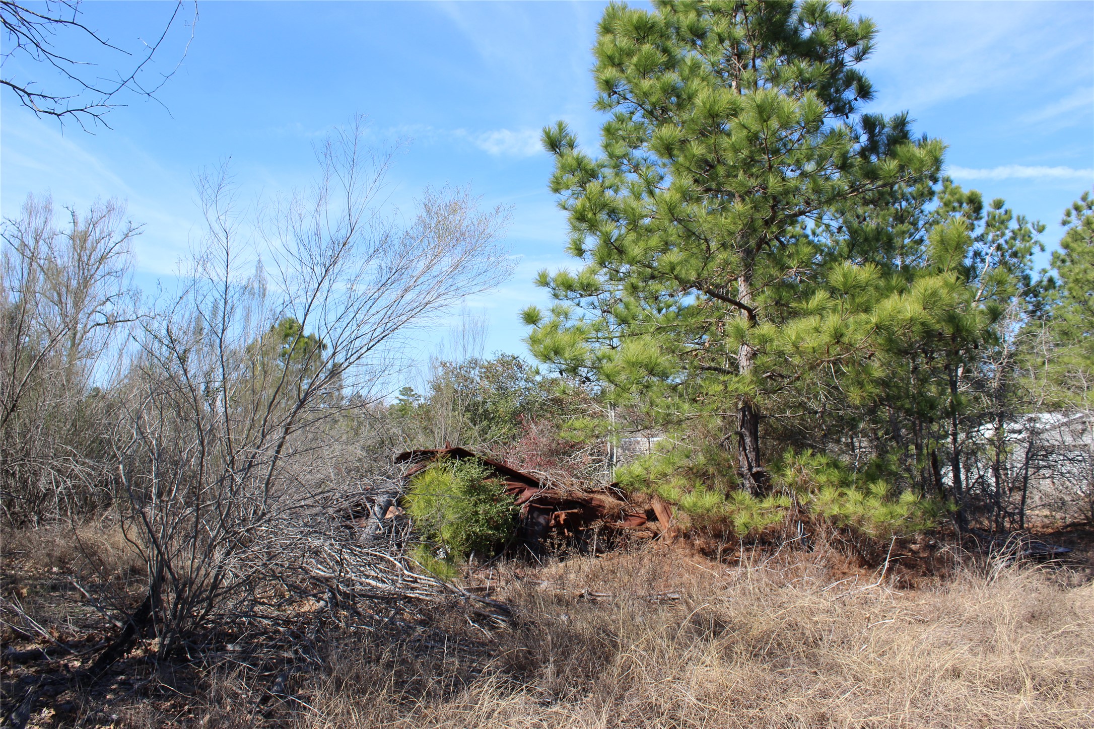 main property photo 19