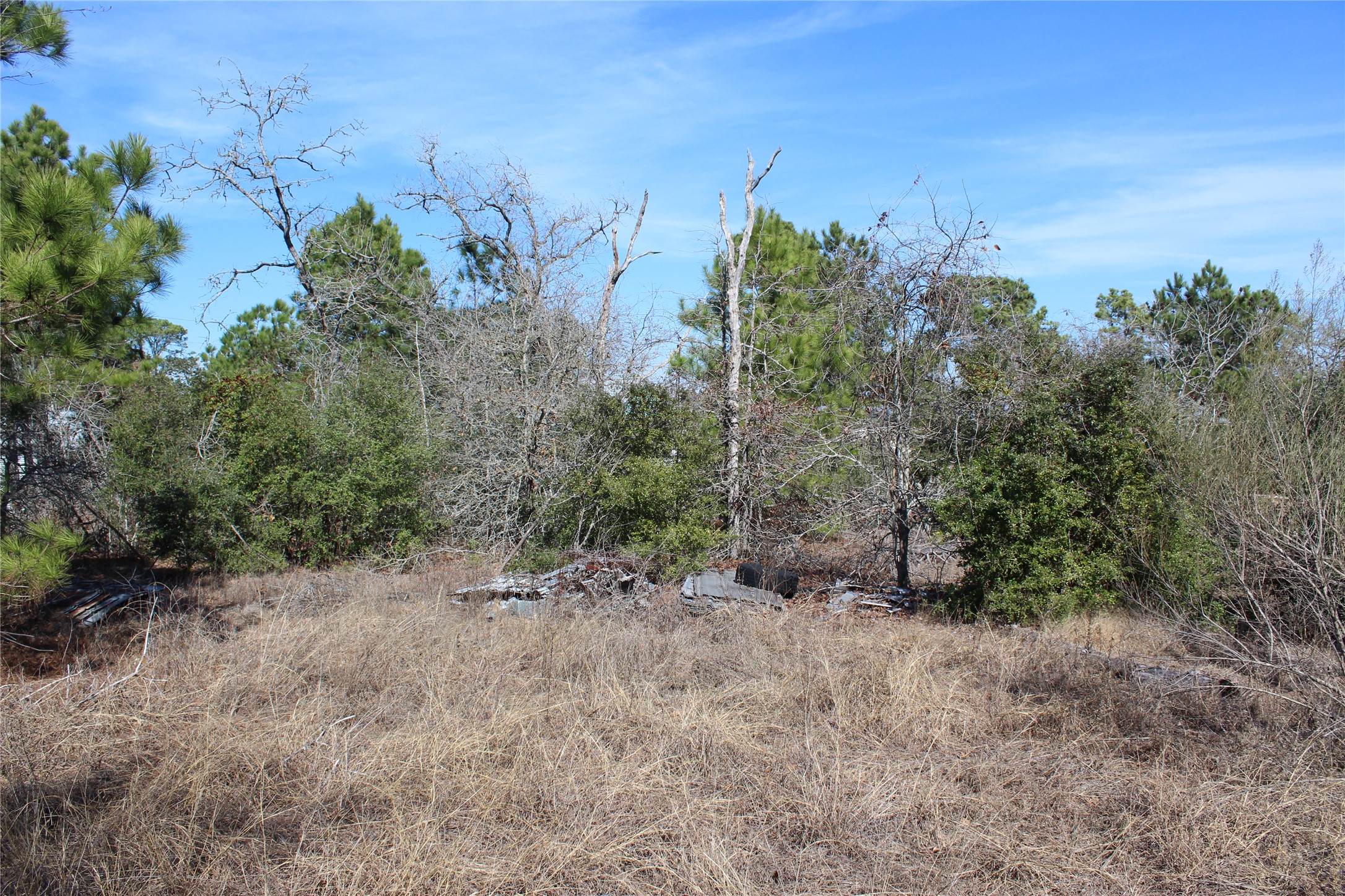 main property photo 20