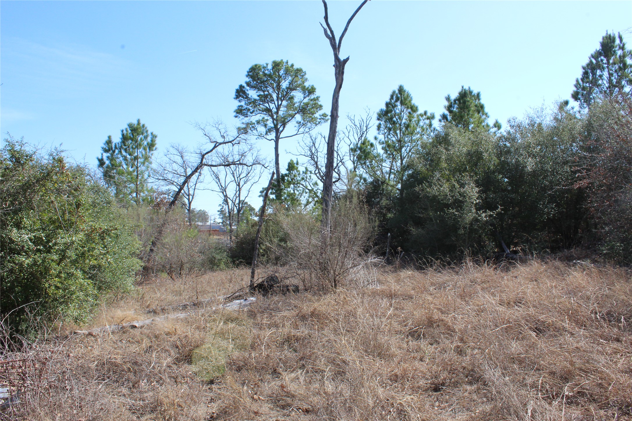 main property photo 21