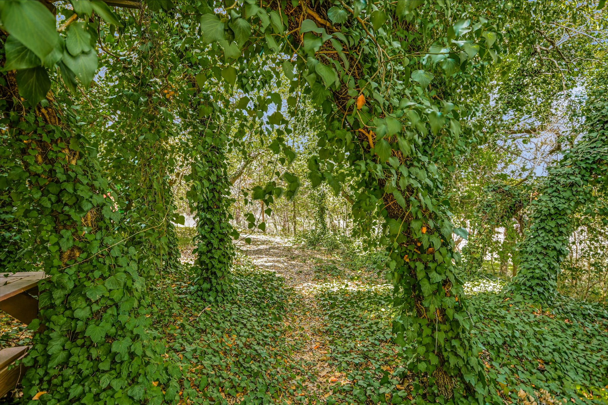 main property photo 16