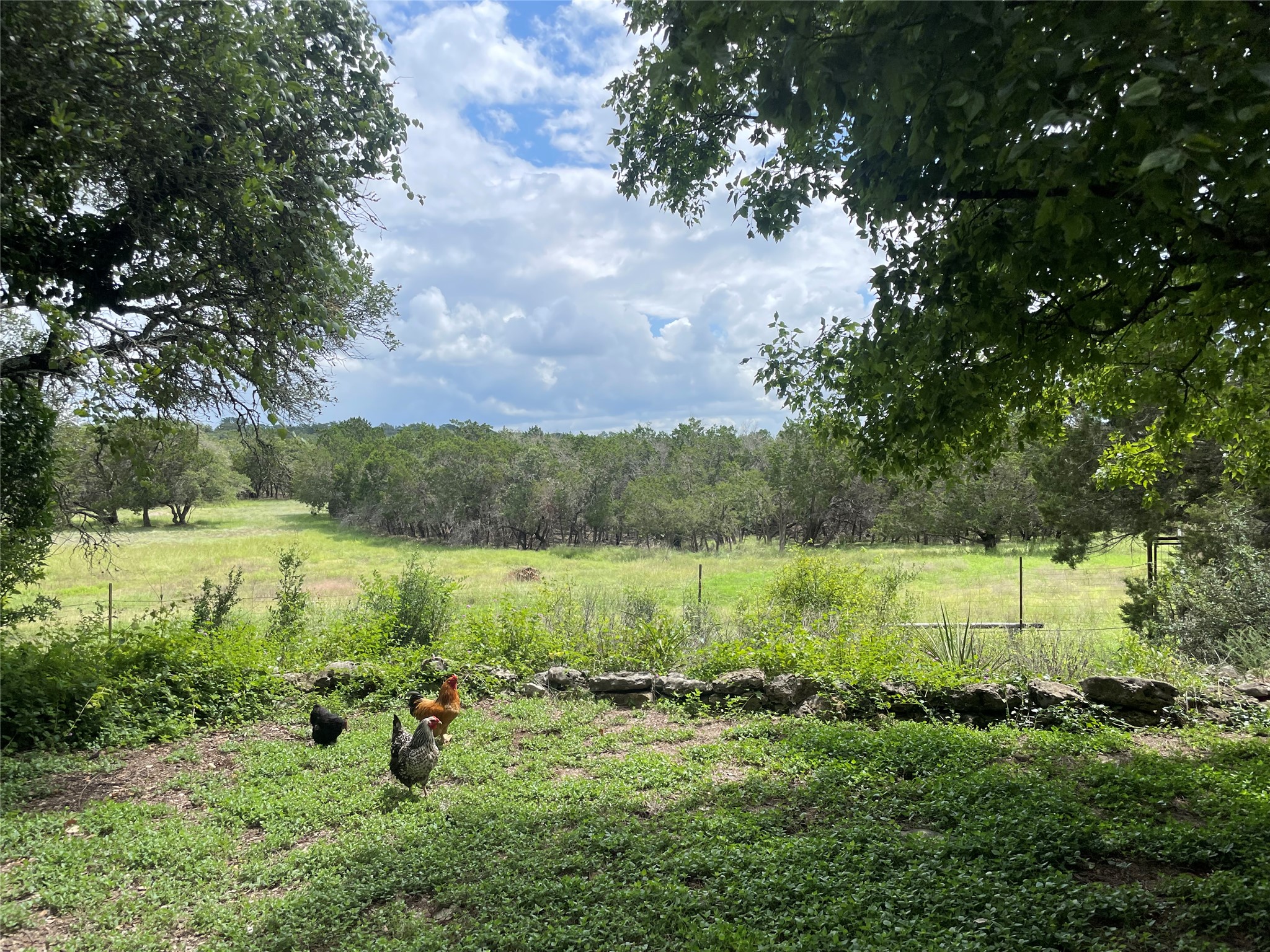 main property photo 19