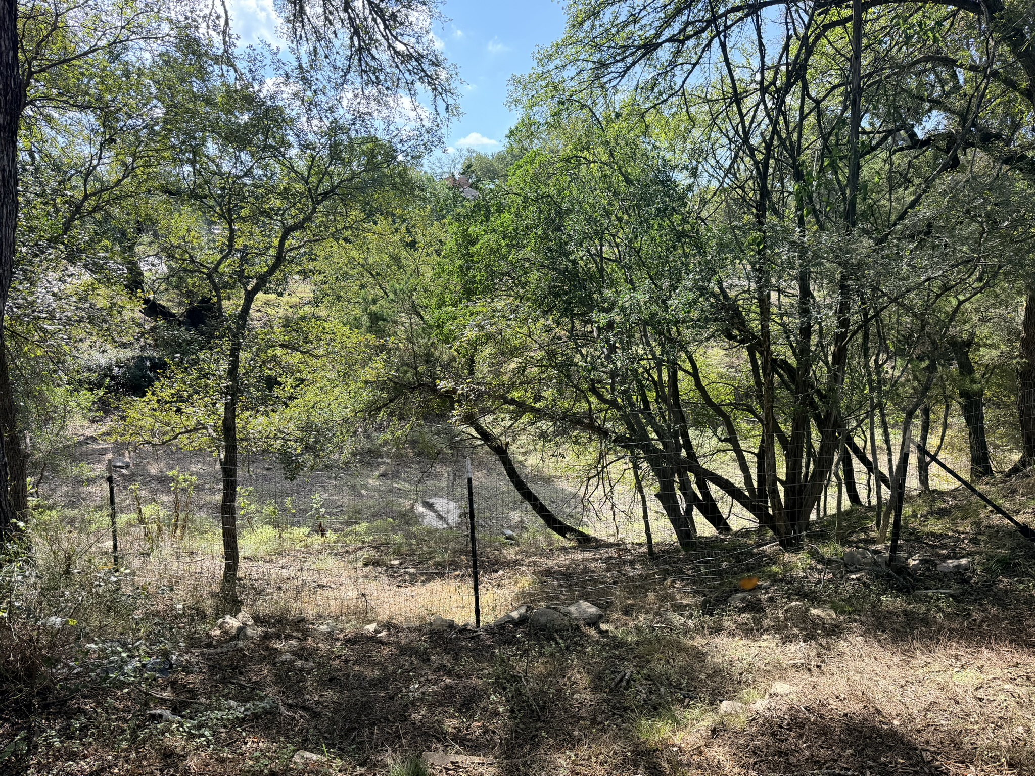 main property photo 13