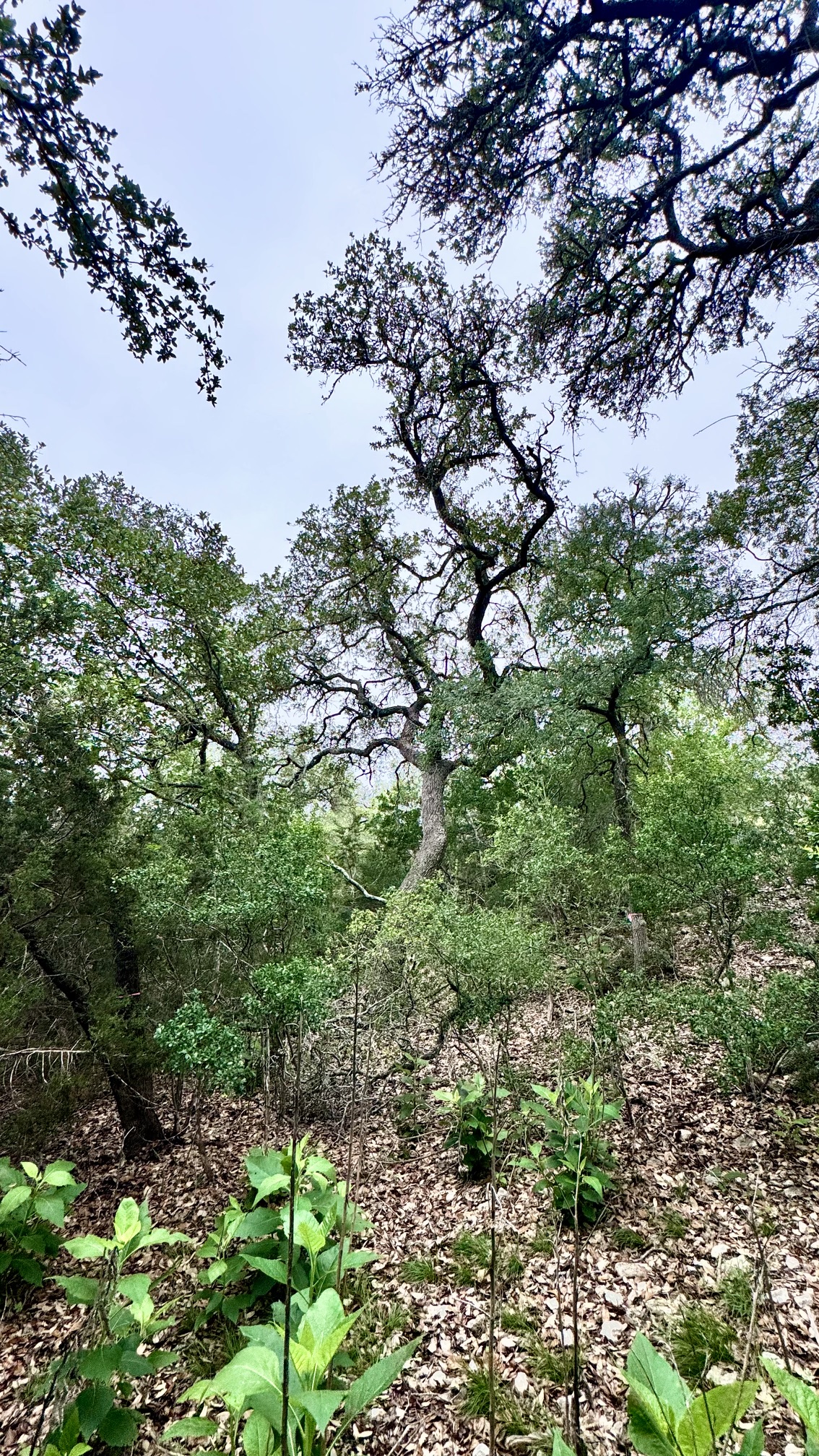 main property photo 17