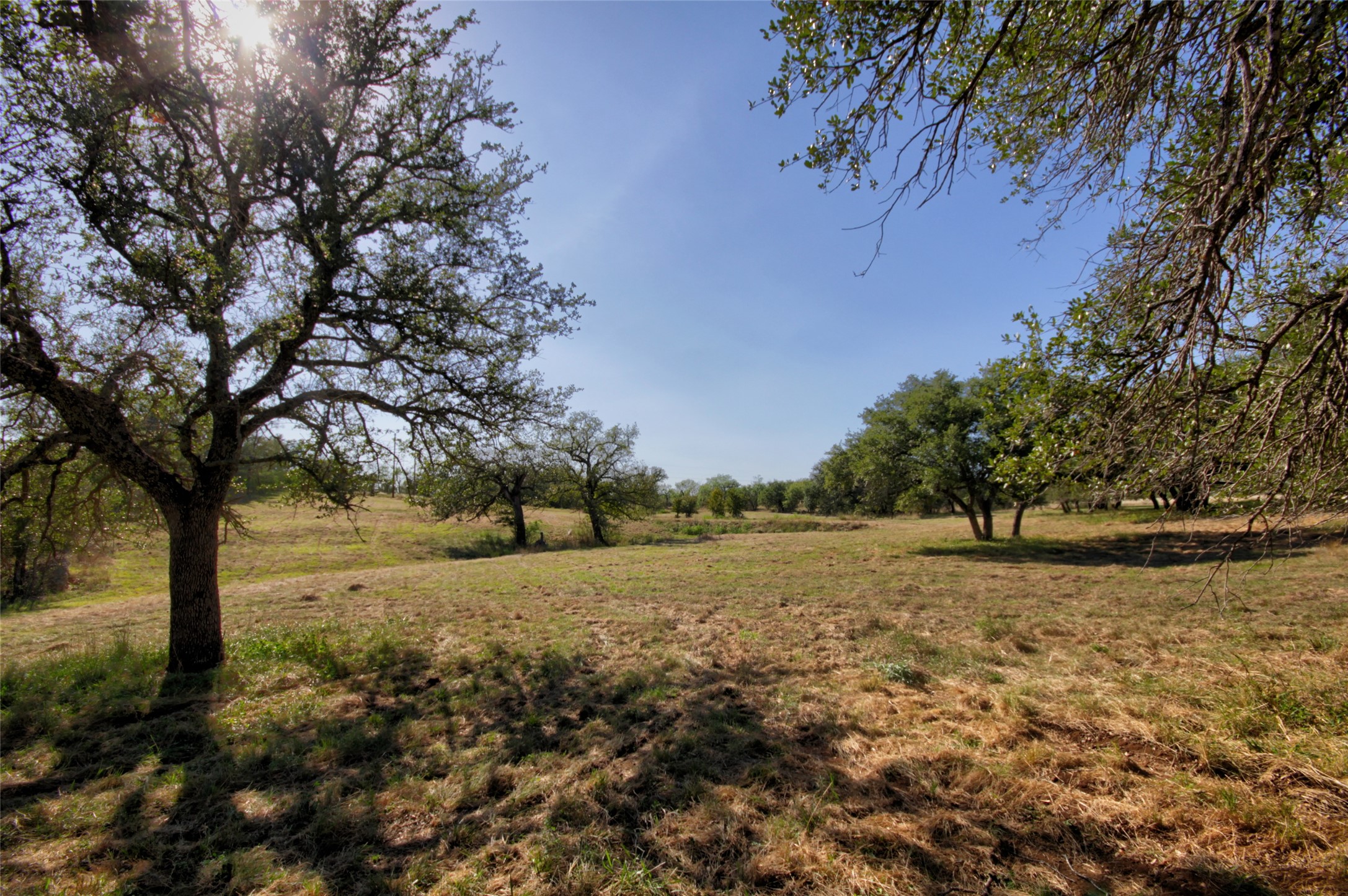 main property photo 31