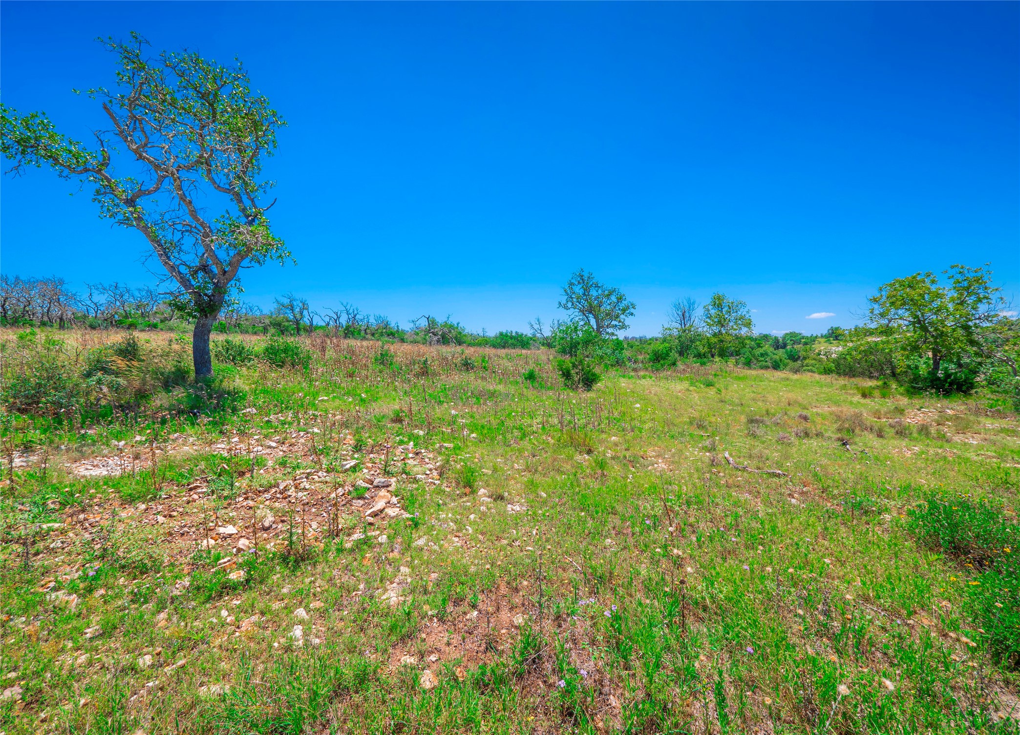 main property photo 11