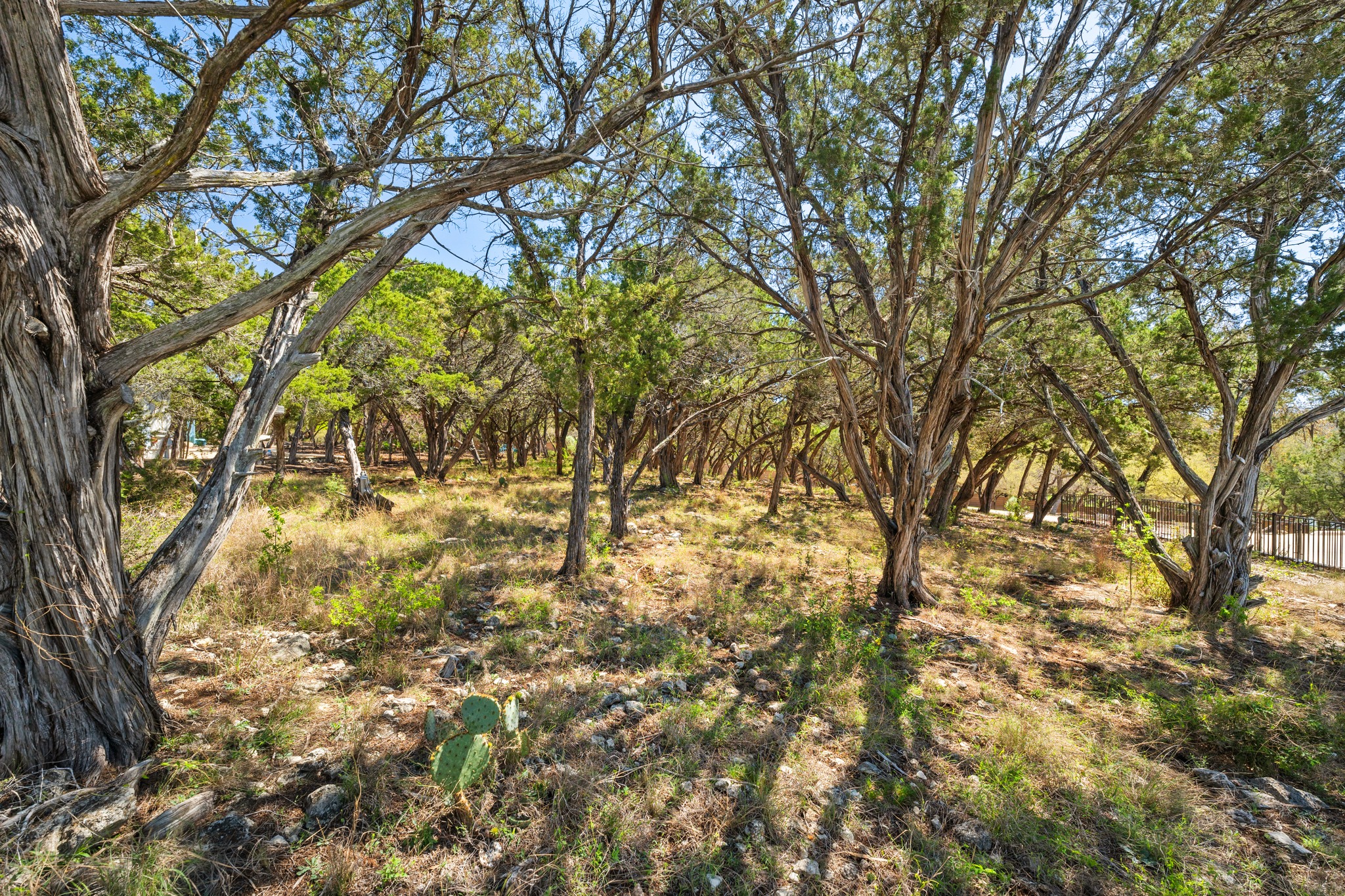 main property photo 15