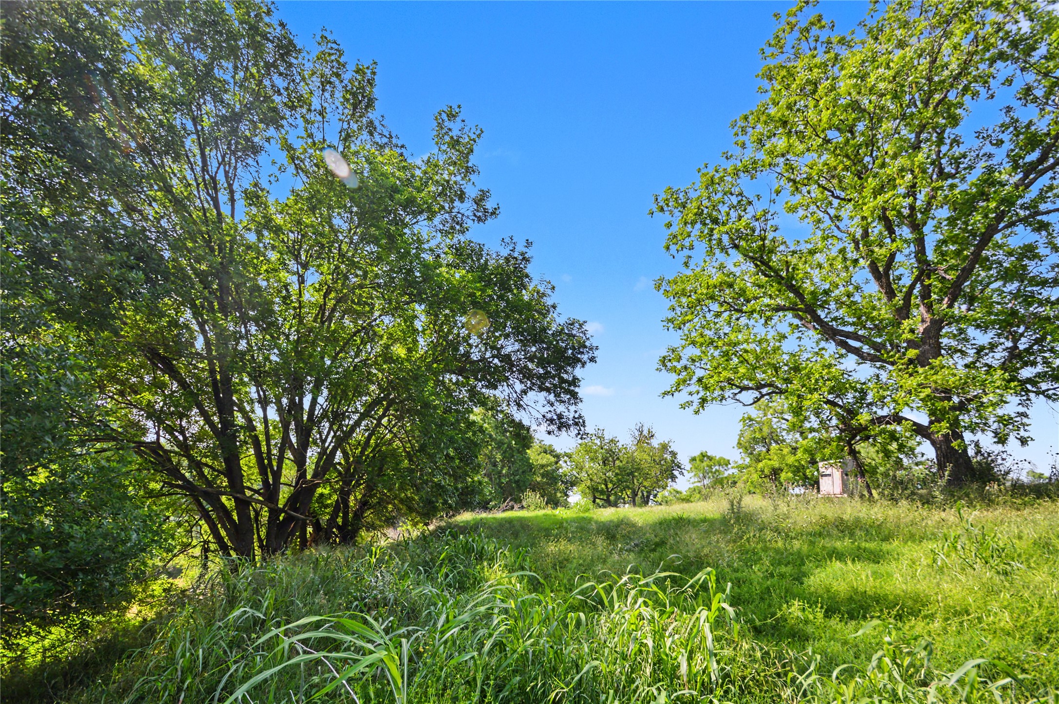 main property photo 24