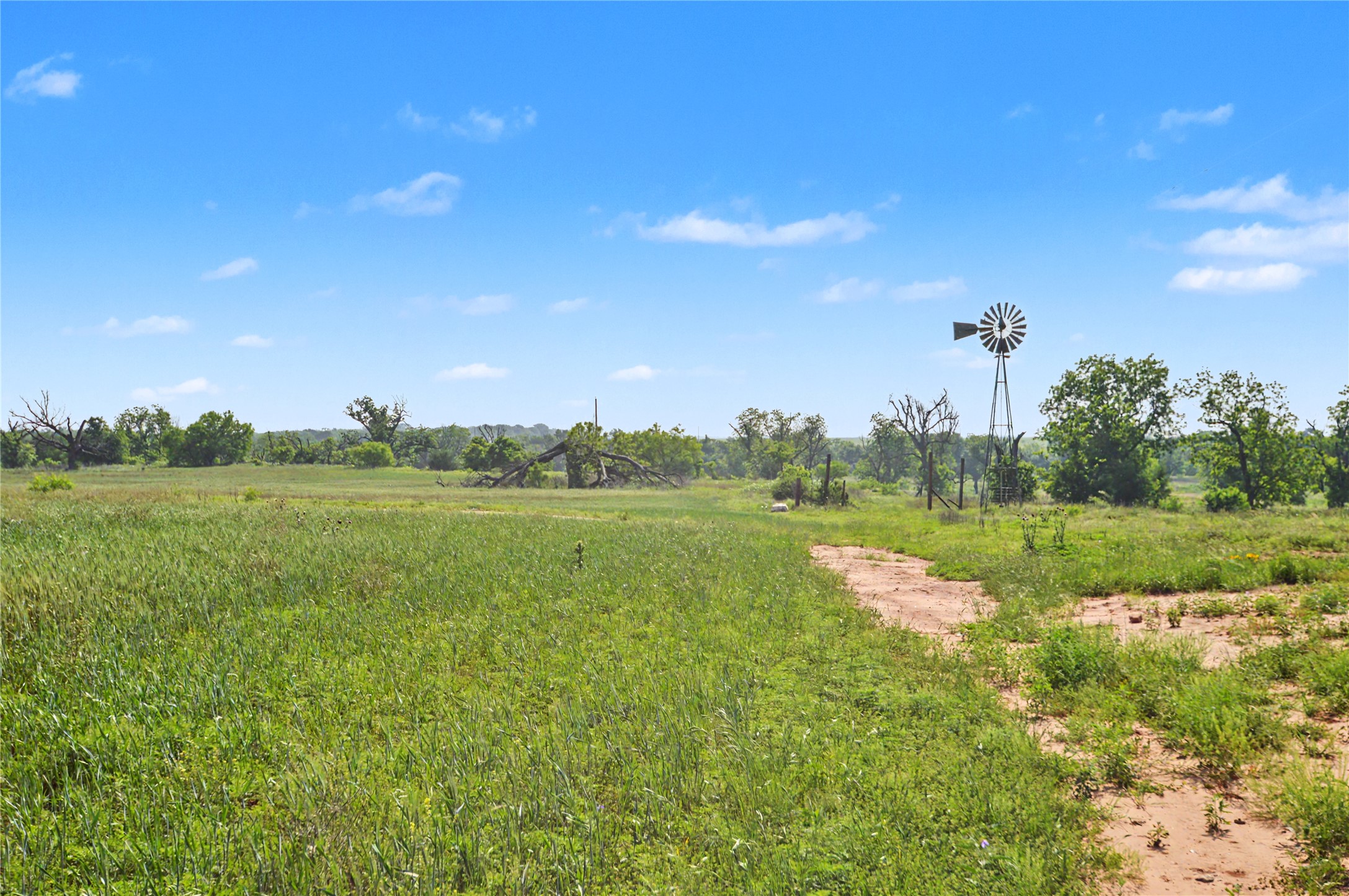 main property photo 29