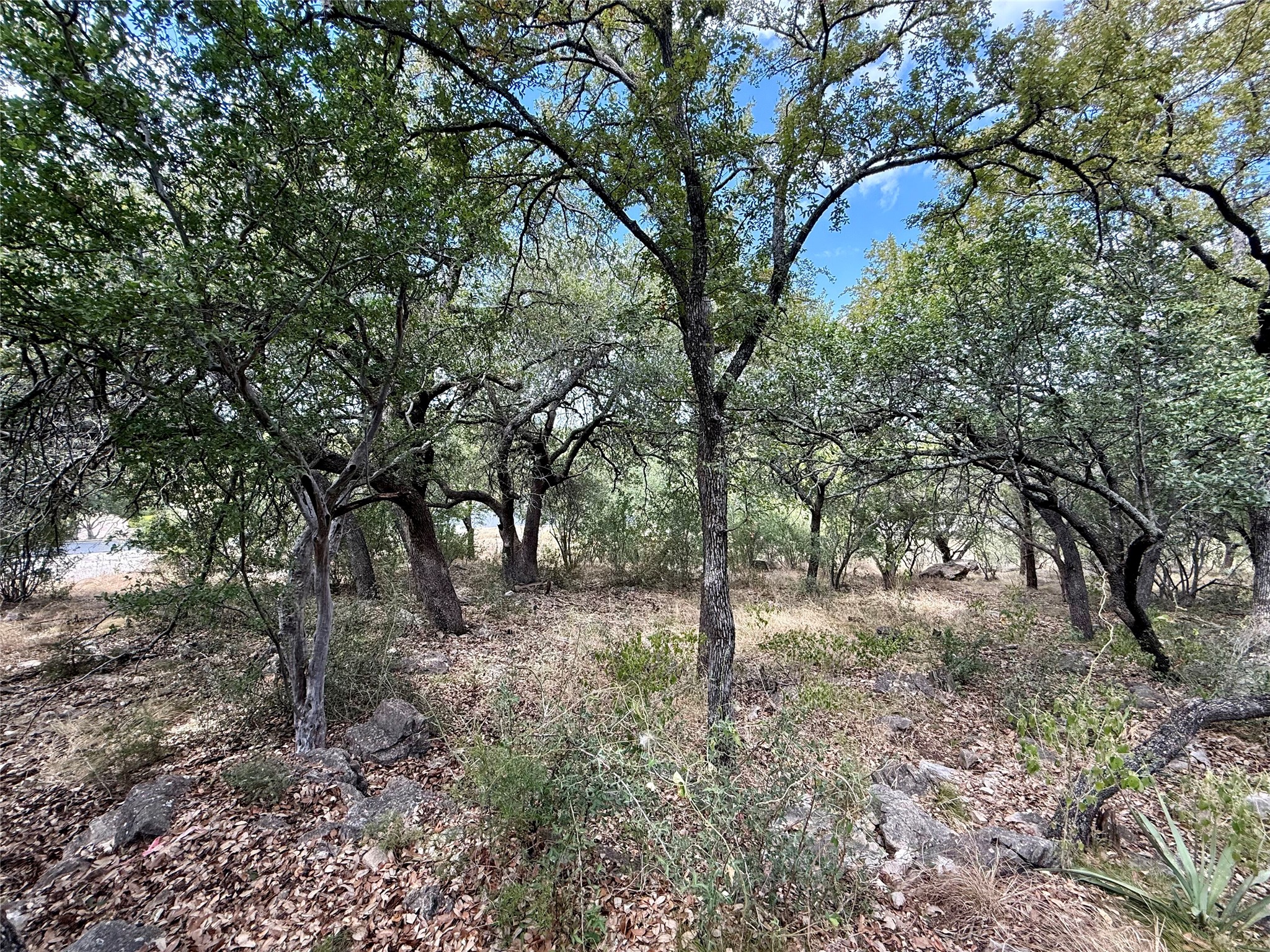 main property photo 9