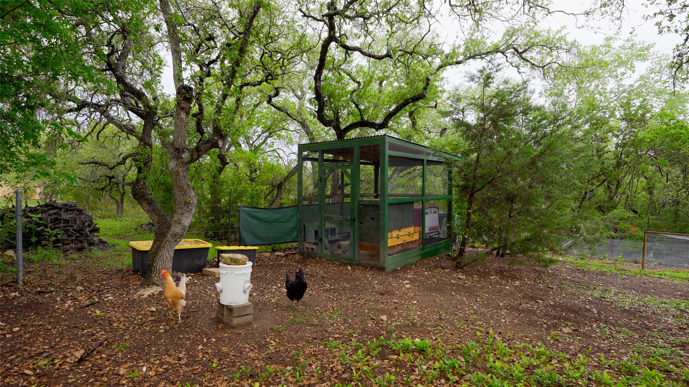 main property photo 30
