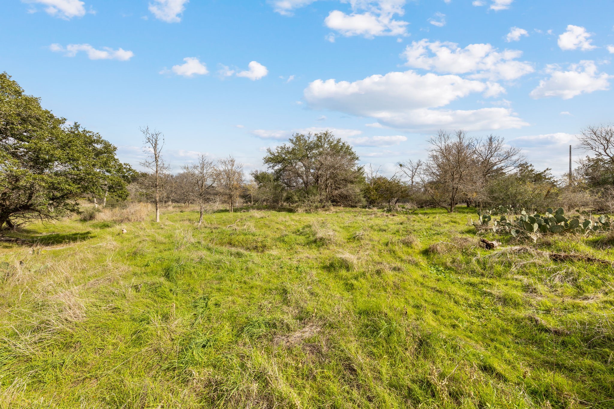 main property photo 9