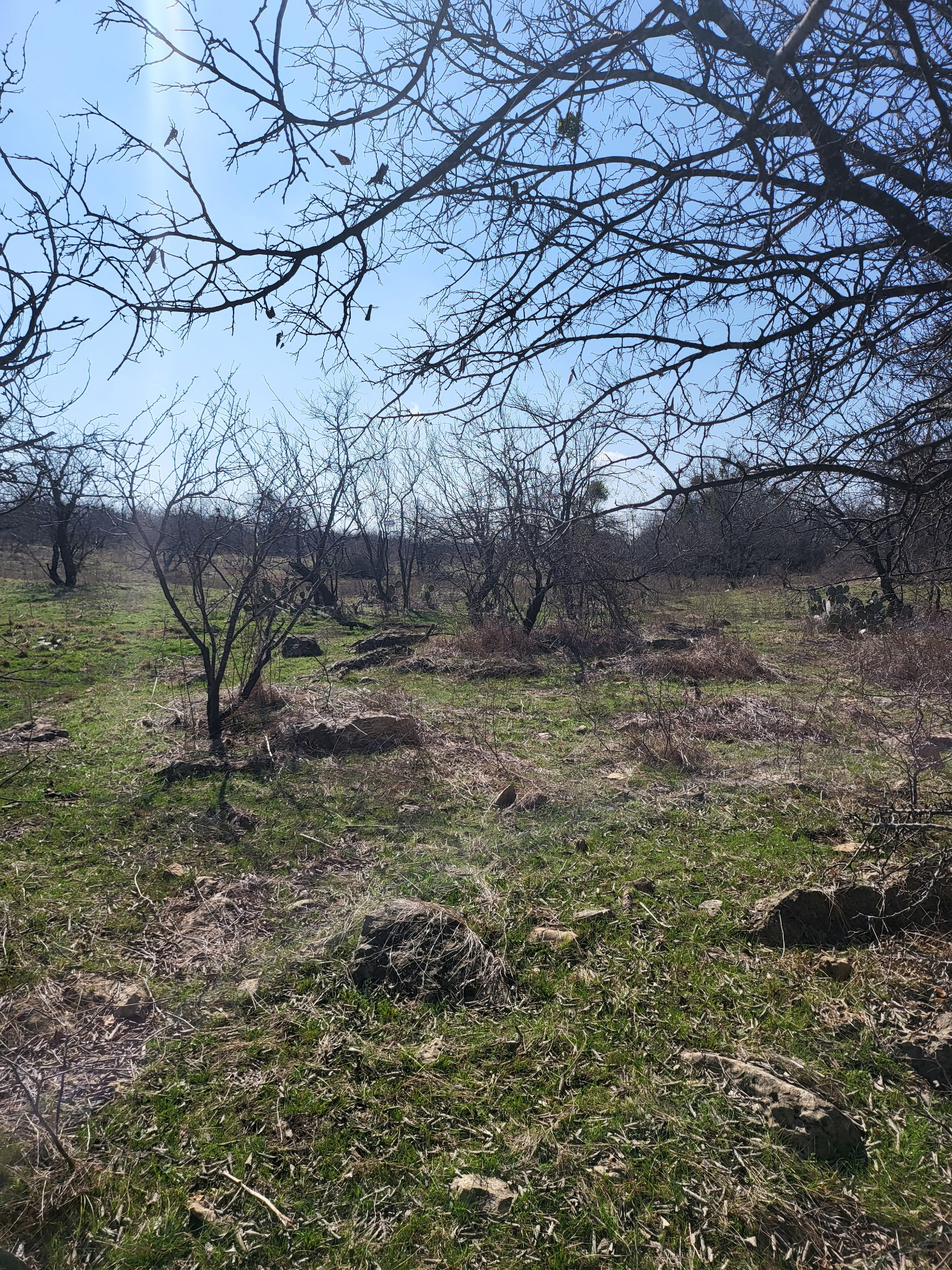 main property photo 9