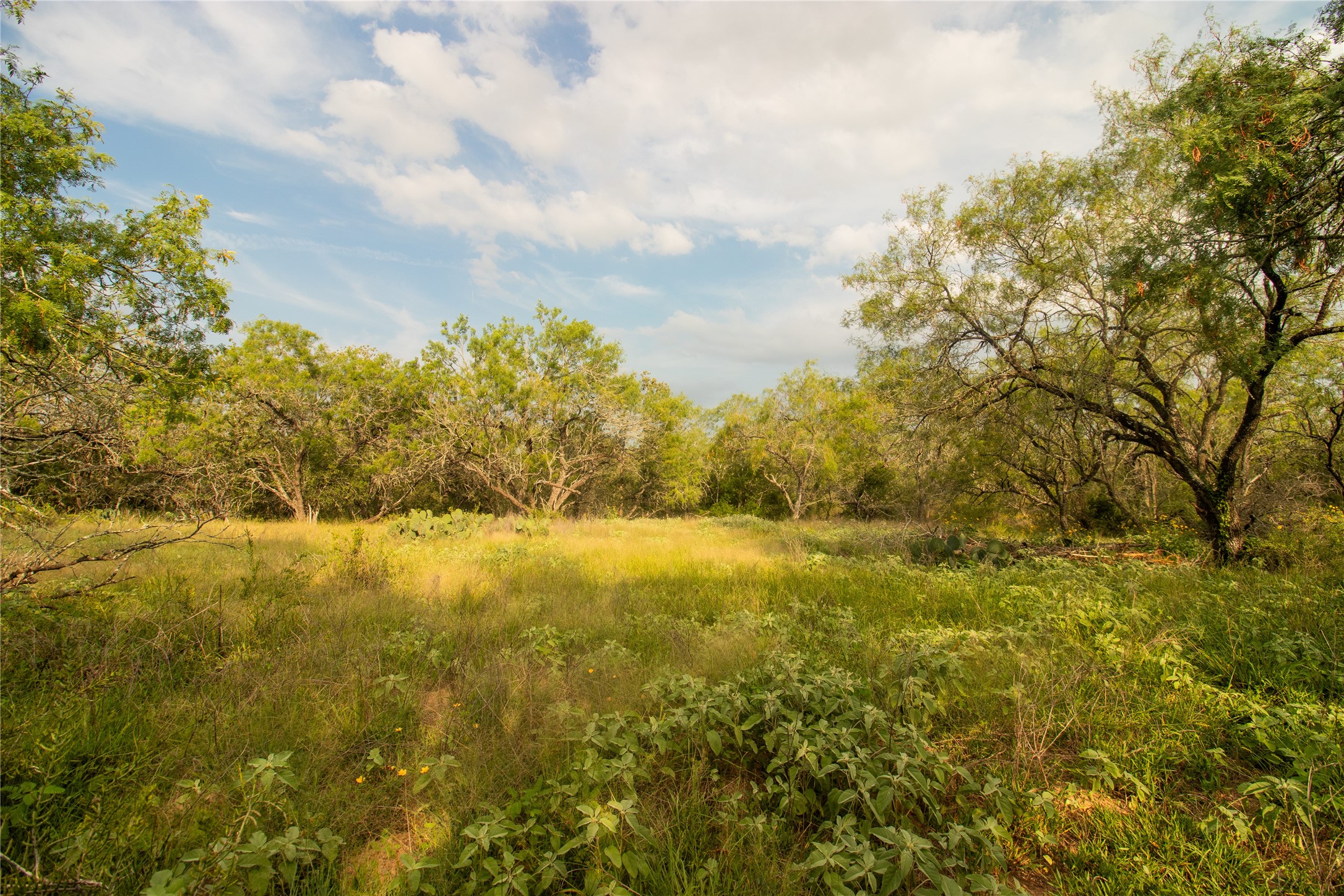 main property photo 10