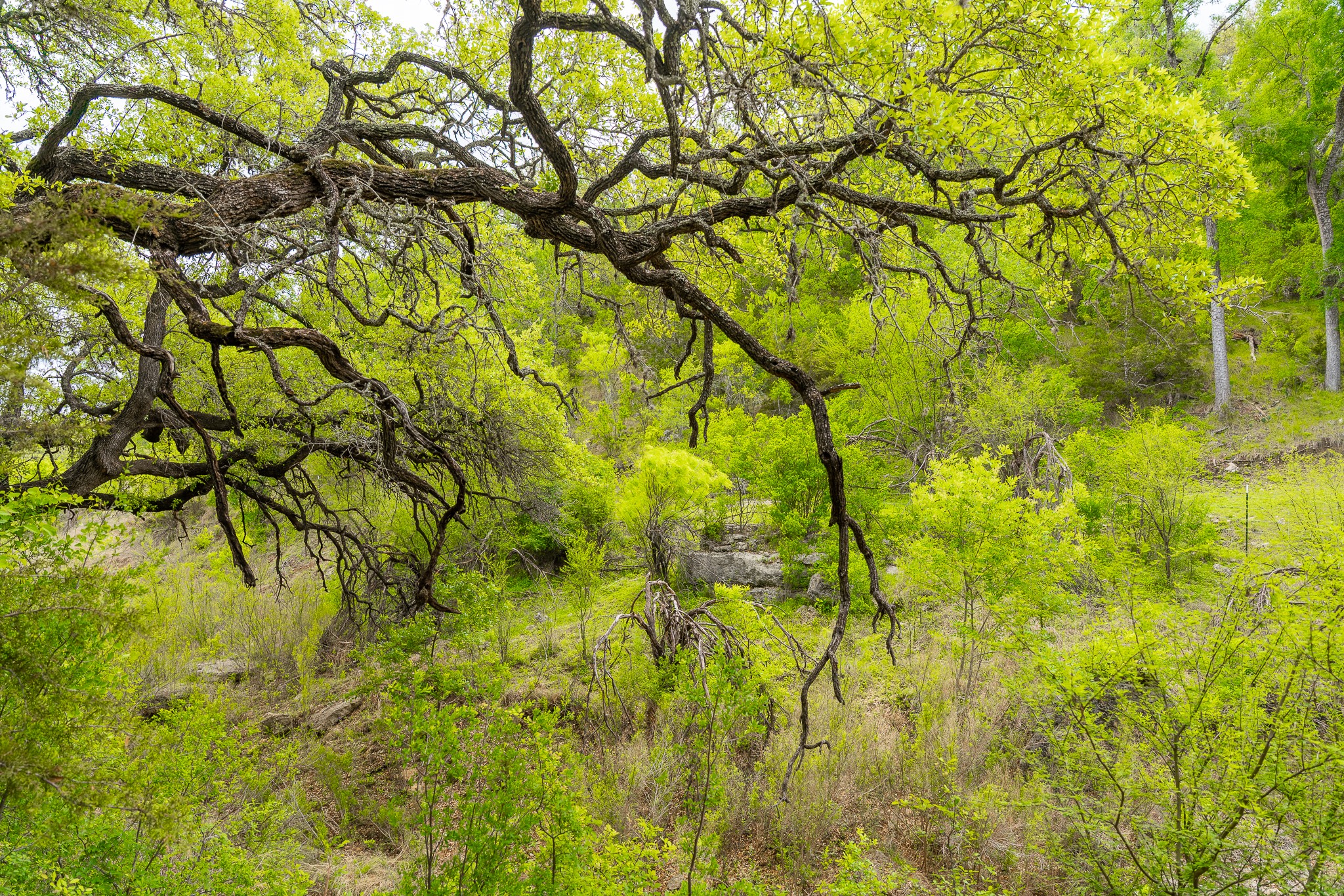 main property photo 29