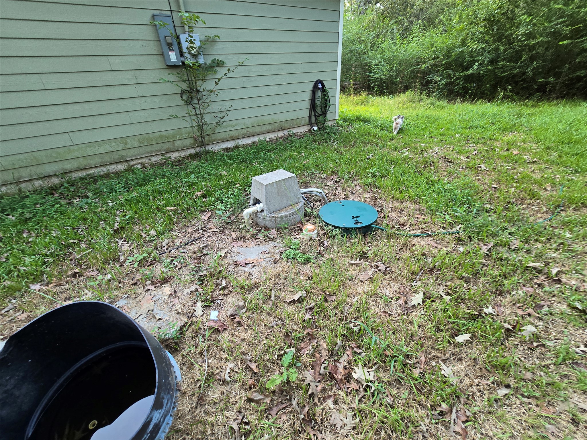 main property photo 13