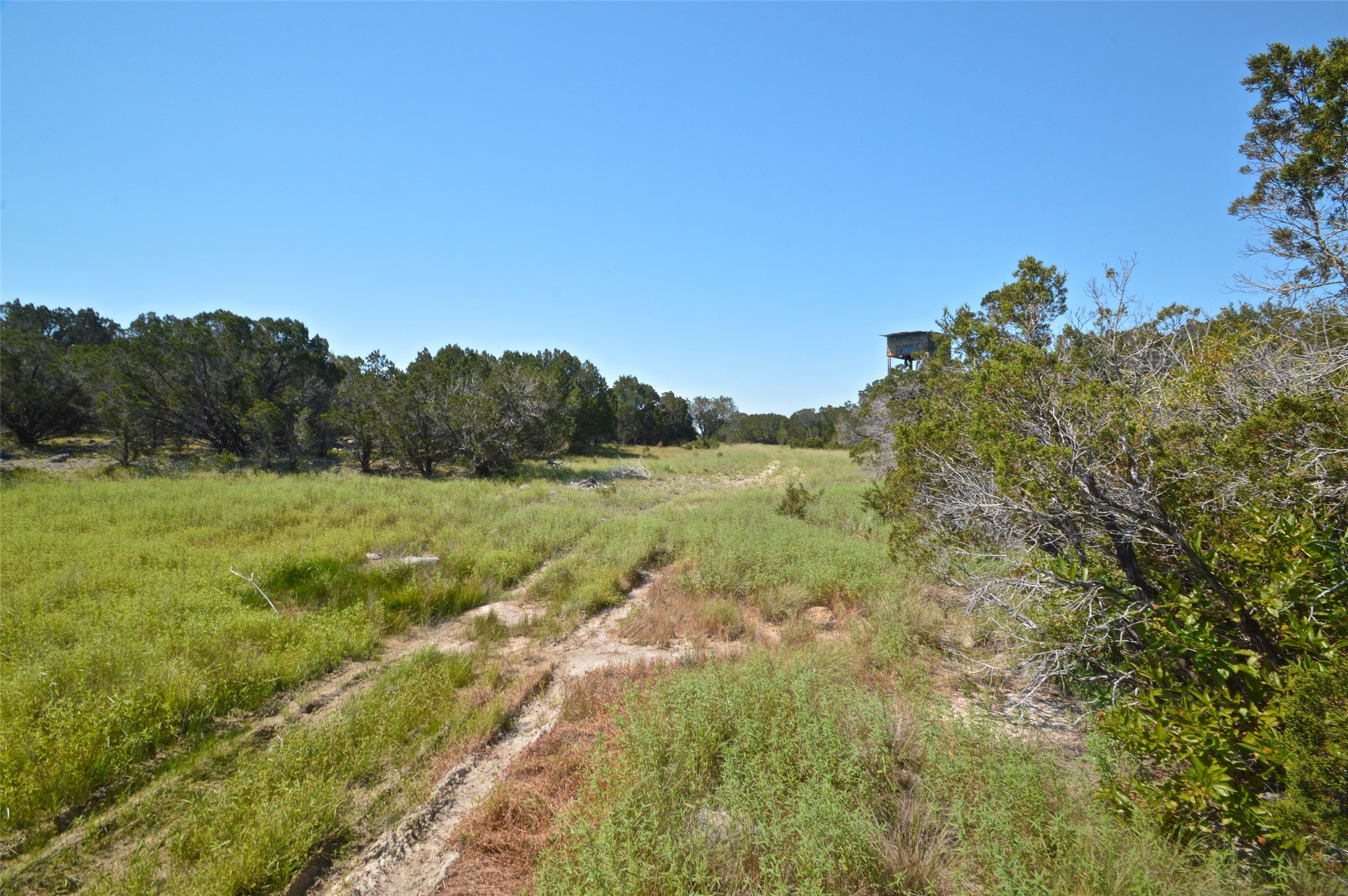 main property photo 10