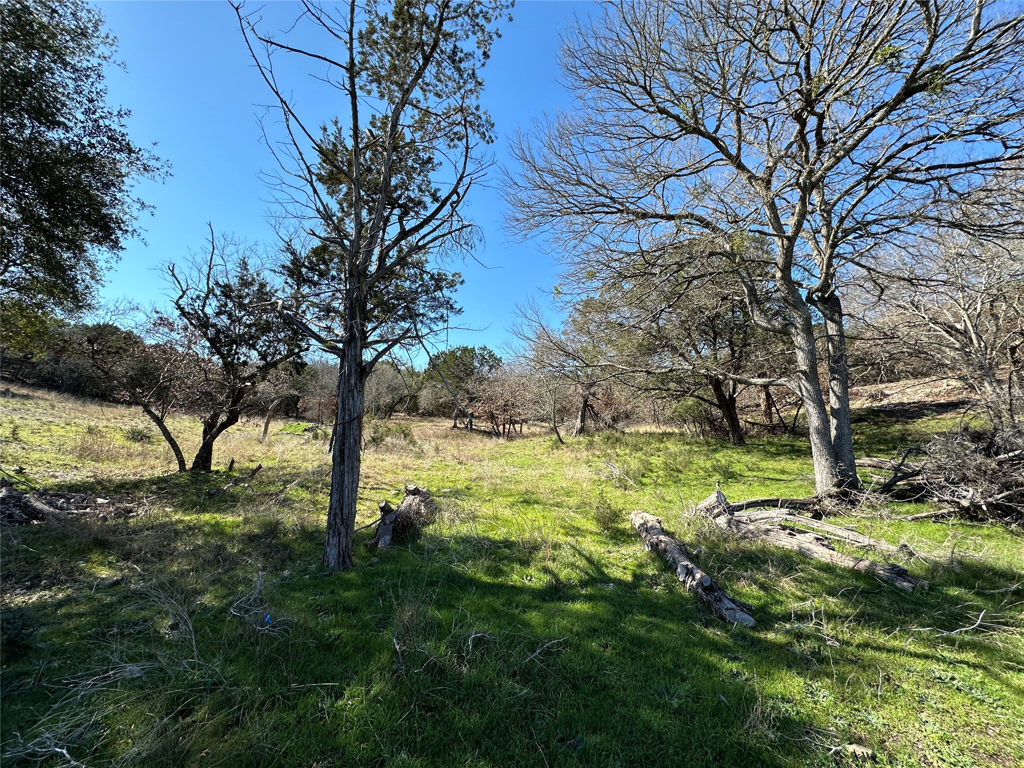 main property photo 10