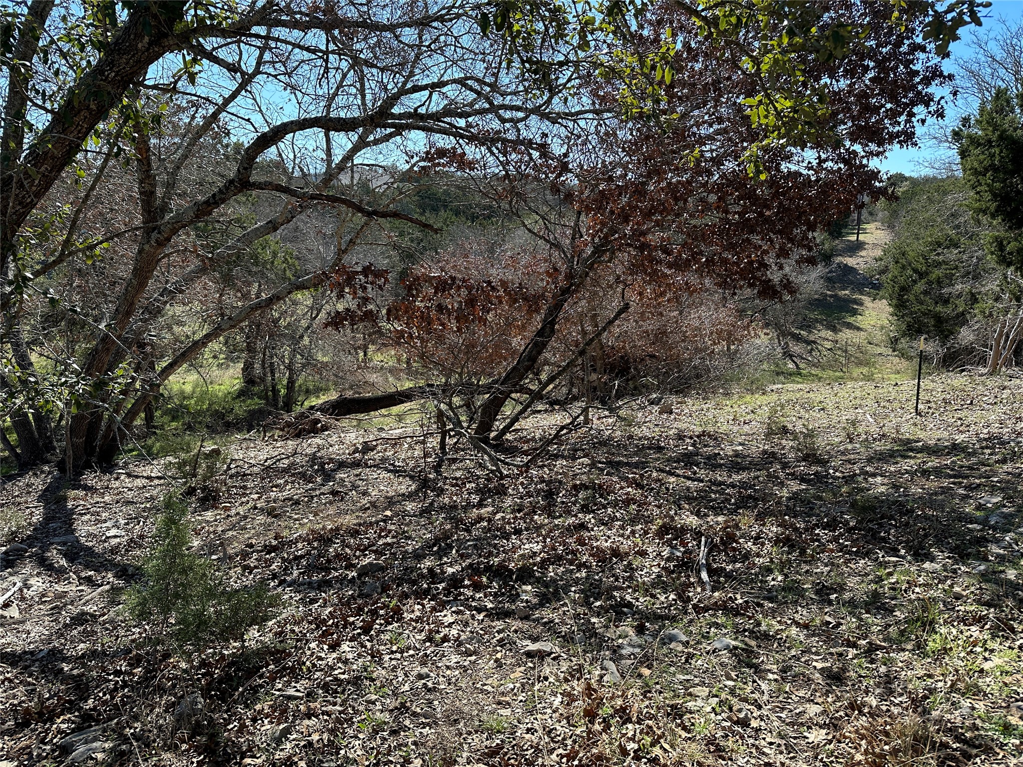 main property photo 8