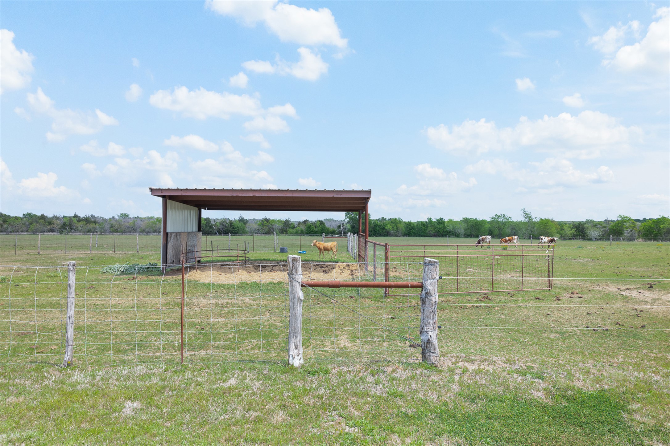 main property photo 15