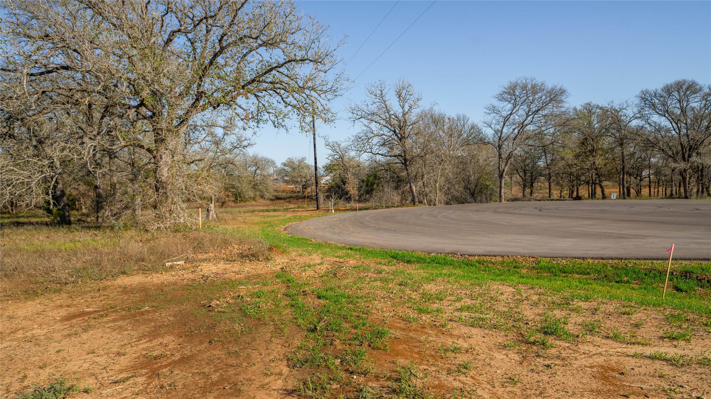 main property photo 6