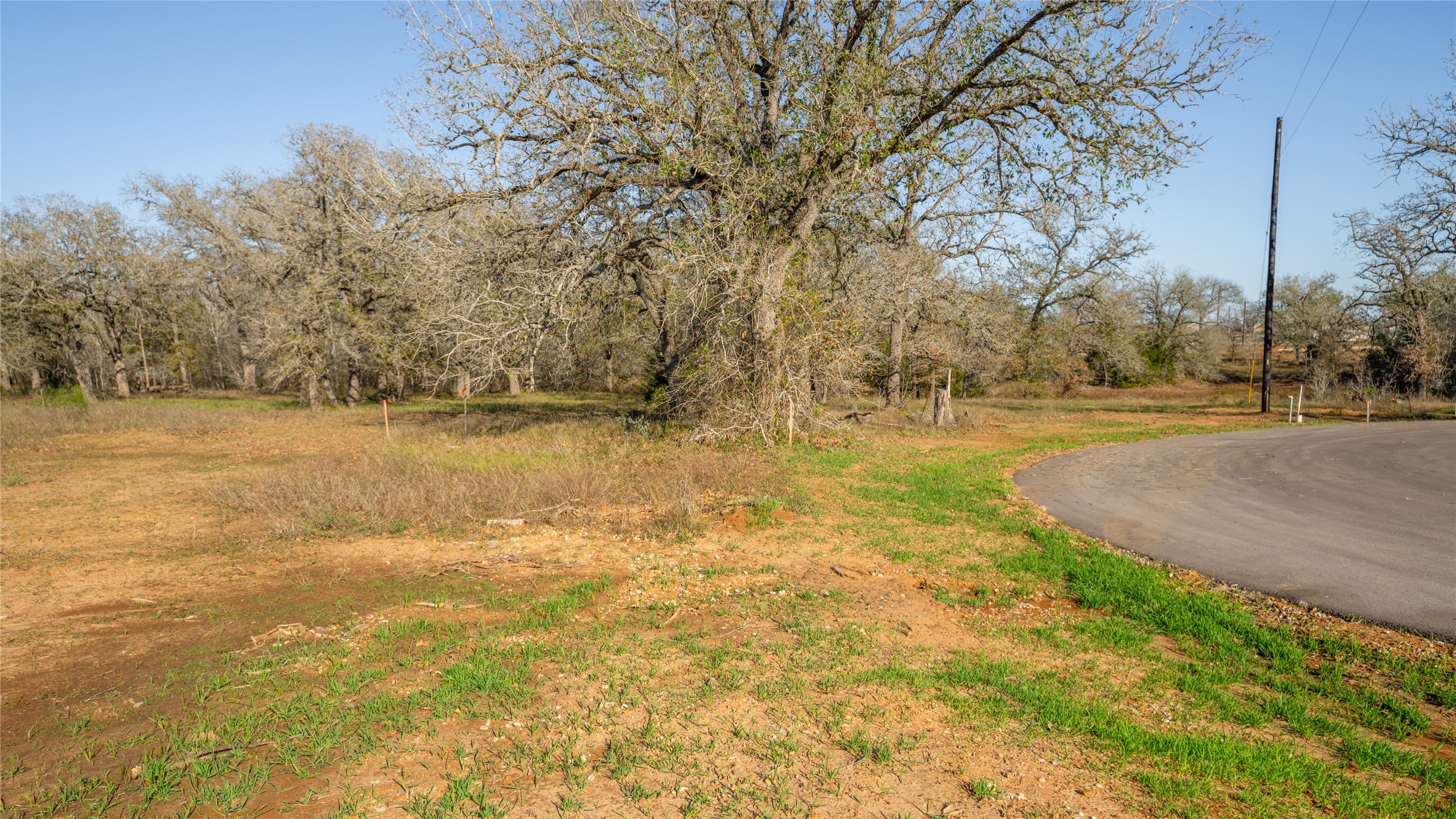 main property photo 7